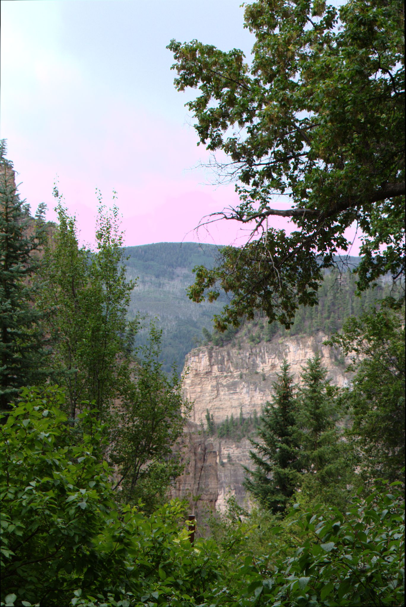 Hanging Lake Trail