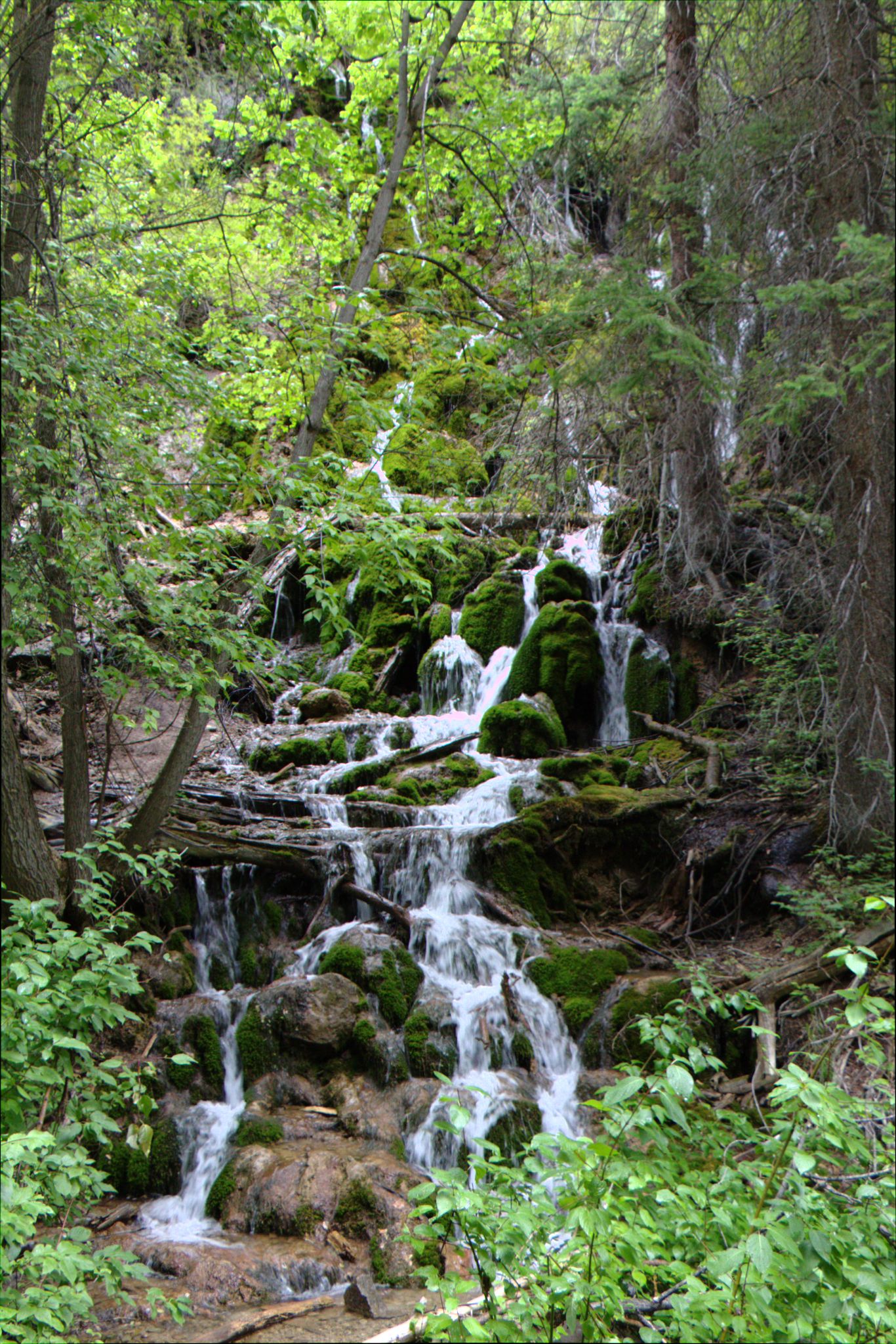 Hanging Lake Trail