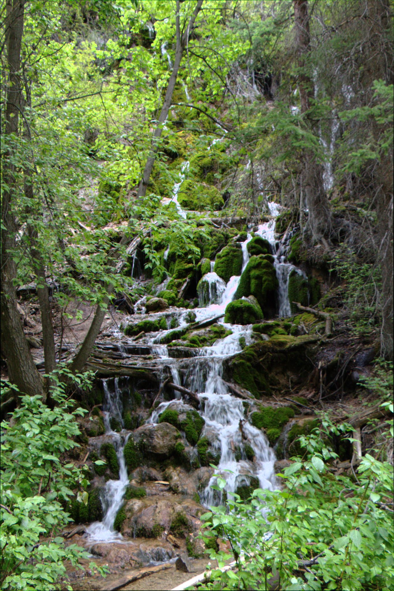 Hanging Lake Trail