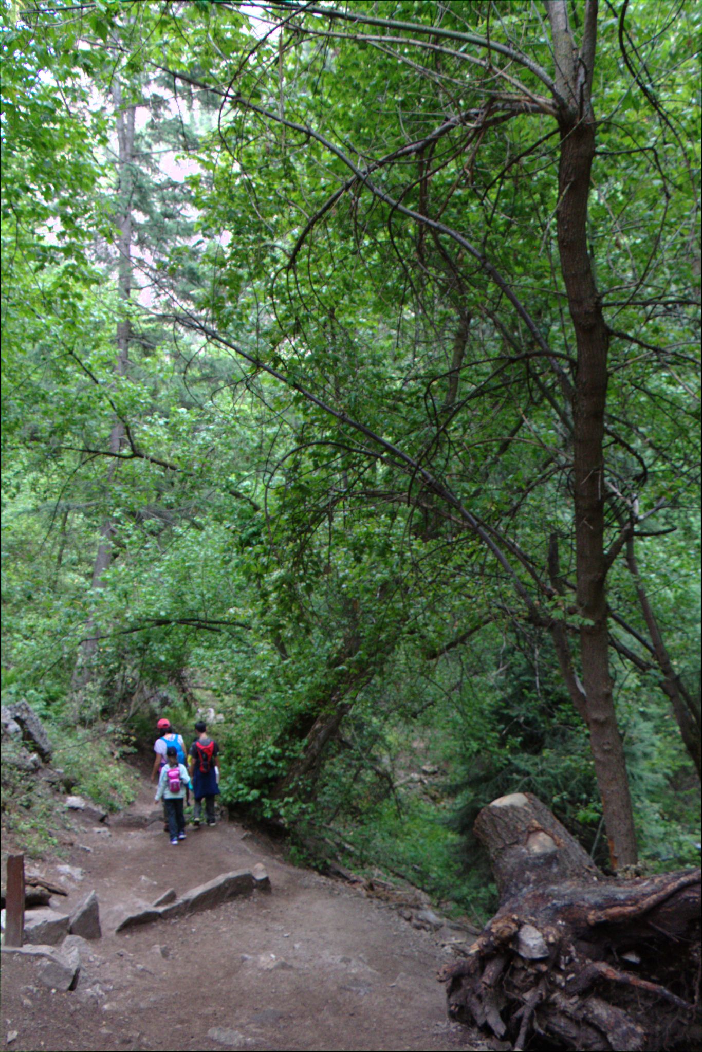 Hanging Lake Trail