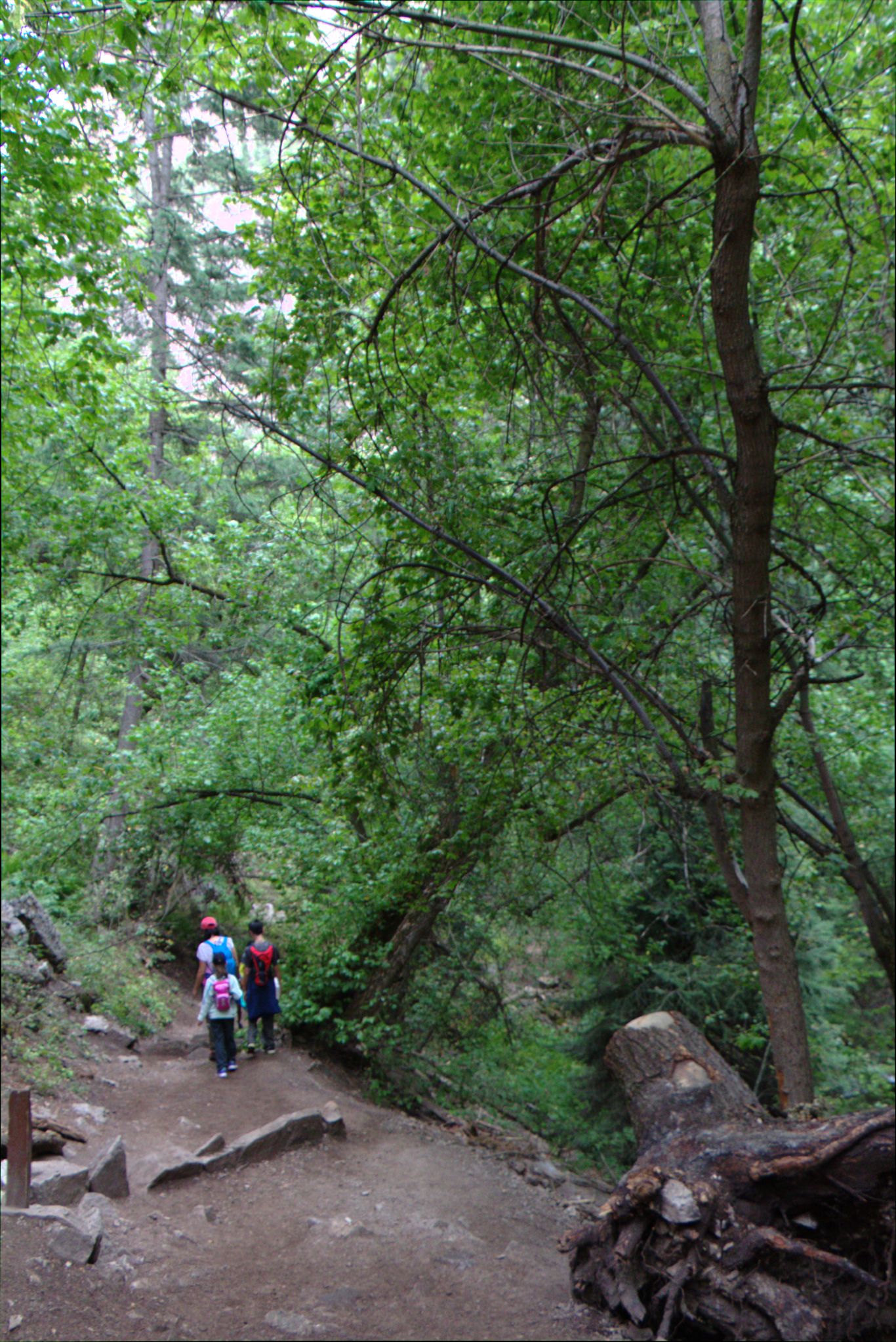 Hanging Lake Trail