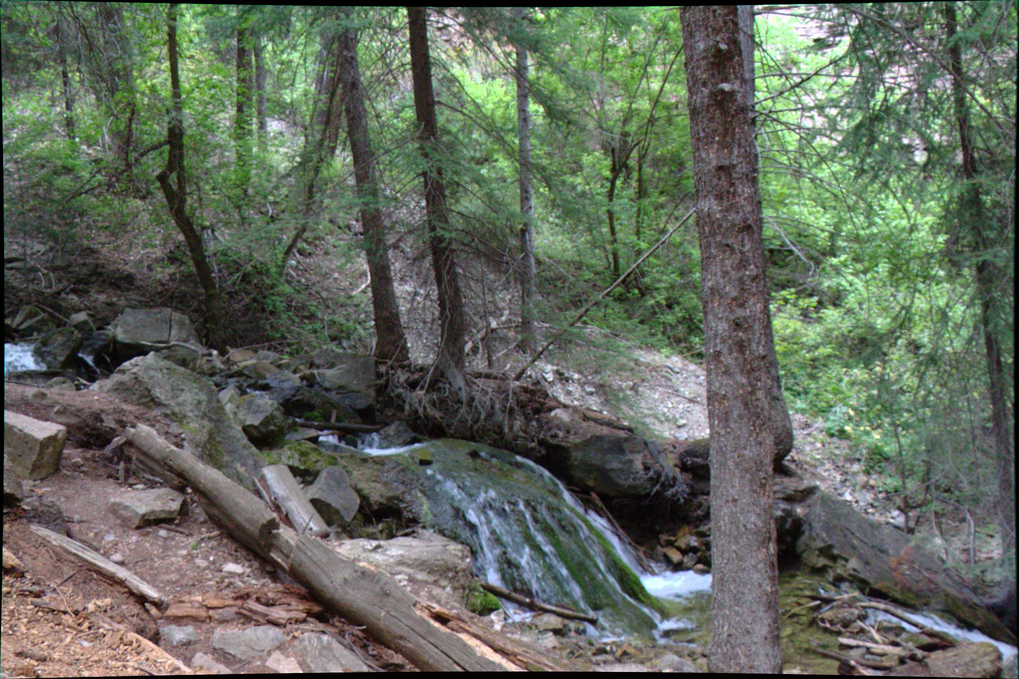 Hanging Lake Trail