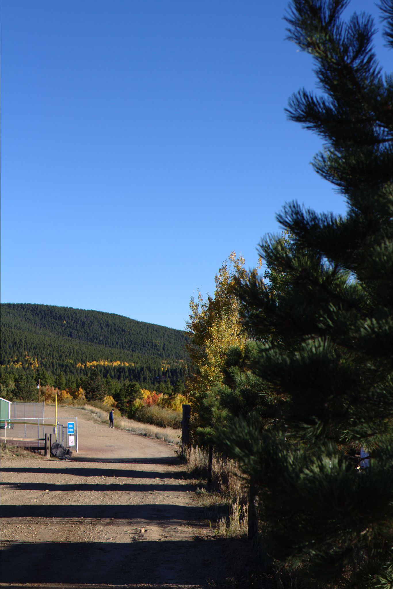Fall Colors on the Peak-to-Peak