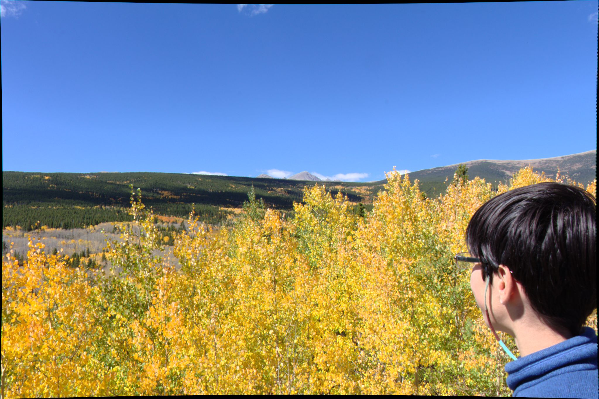 Fall Colors on the Peak-to-Peak