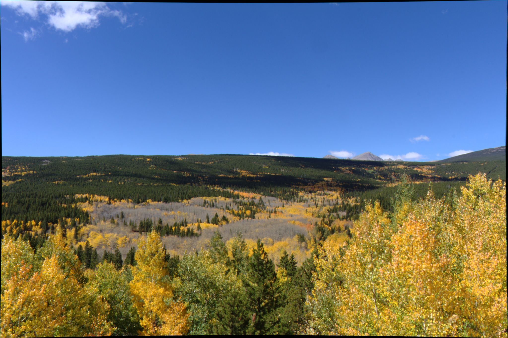 Fall Colors on the Peak-to-Peak