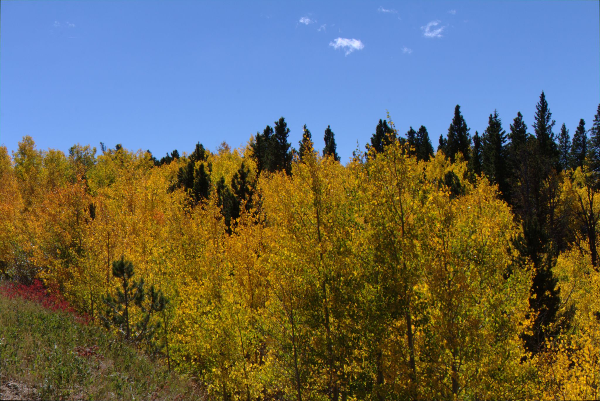 Fall Colors on the Peak-to-Peak