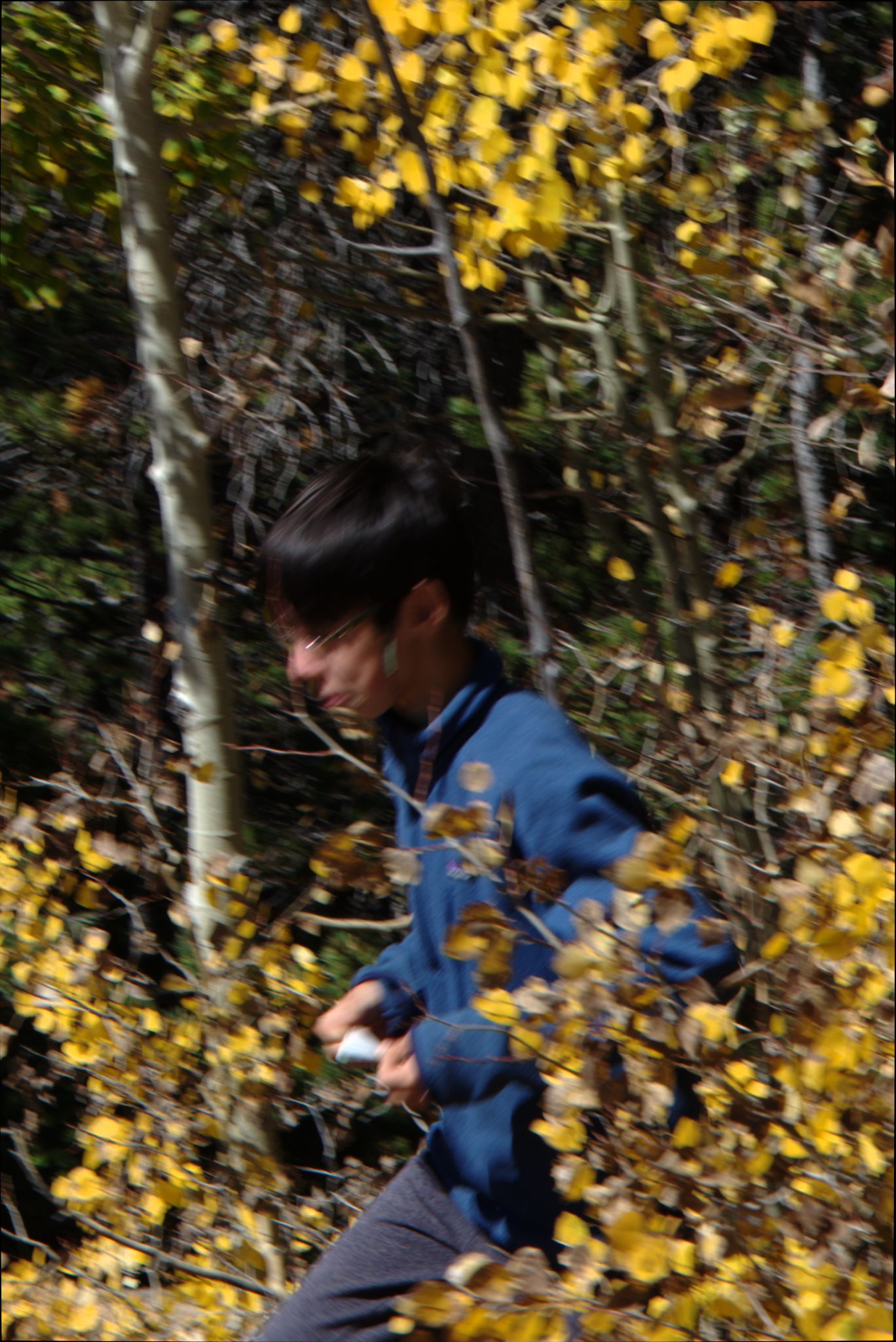 Fall Colors on the Peak-to-Peak