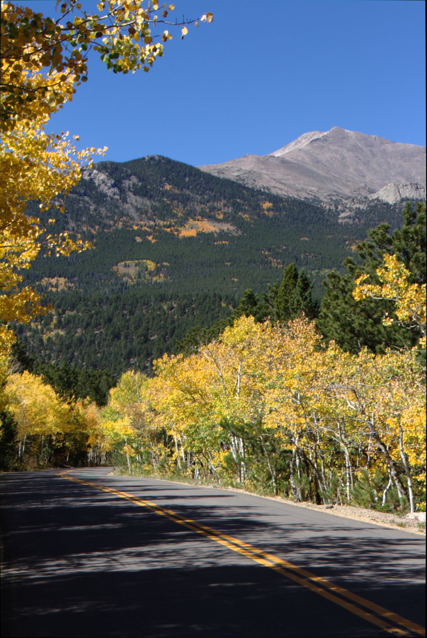 Fall Colors on the Peak-to-Peak