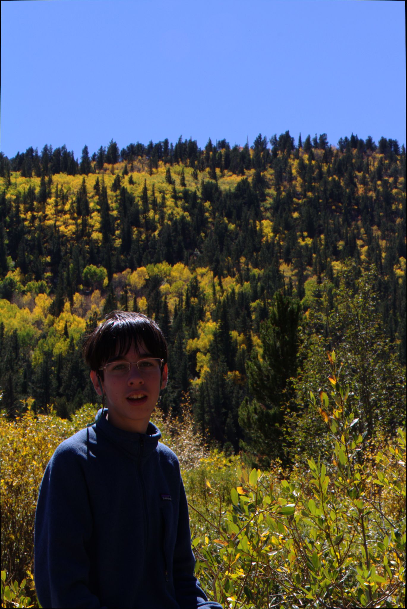 Fall Colors on the Peak-to-Peak