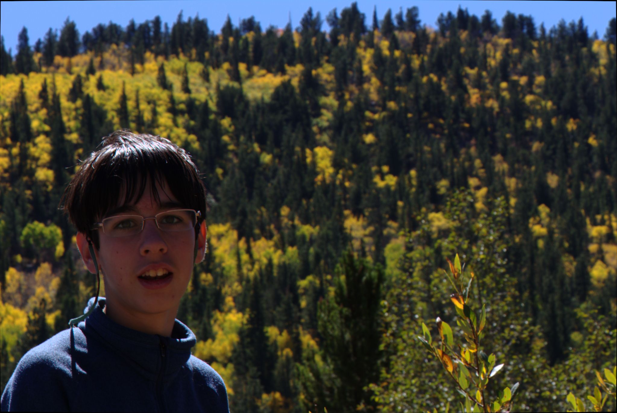 Fall Colors on the Peak-to-Peak