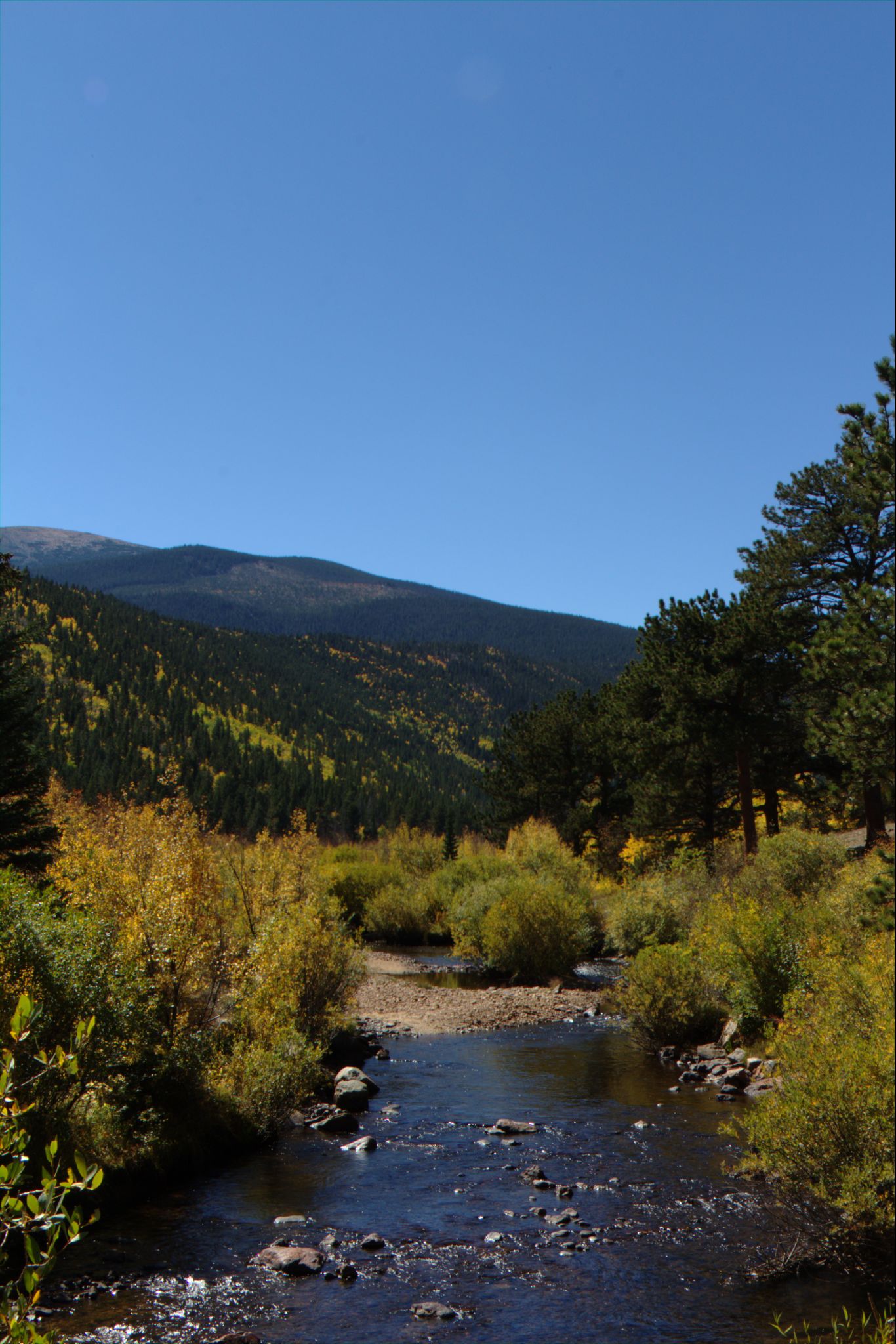 Fall Colors on the Peak-to-Peak