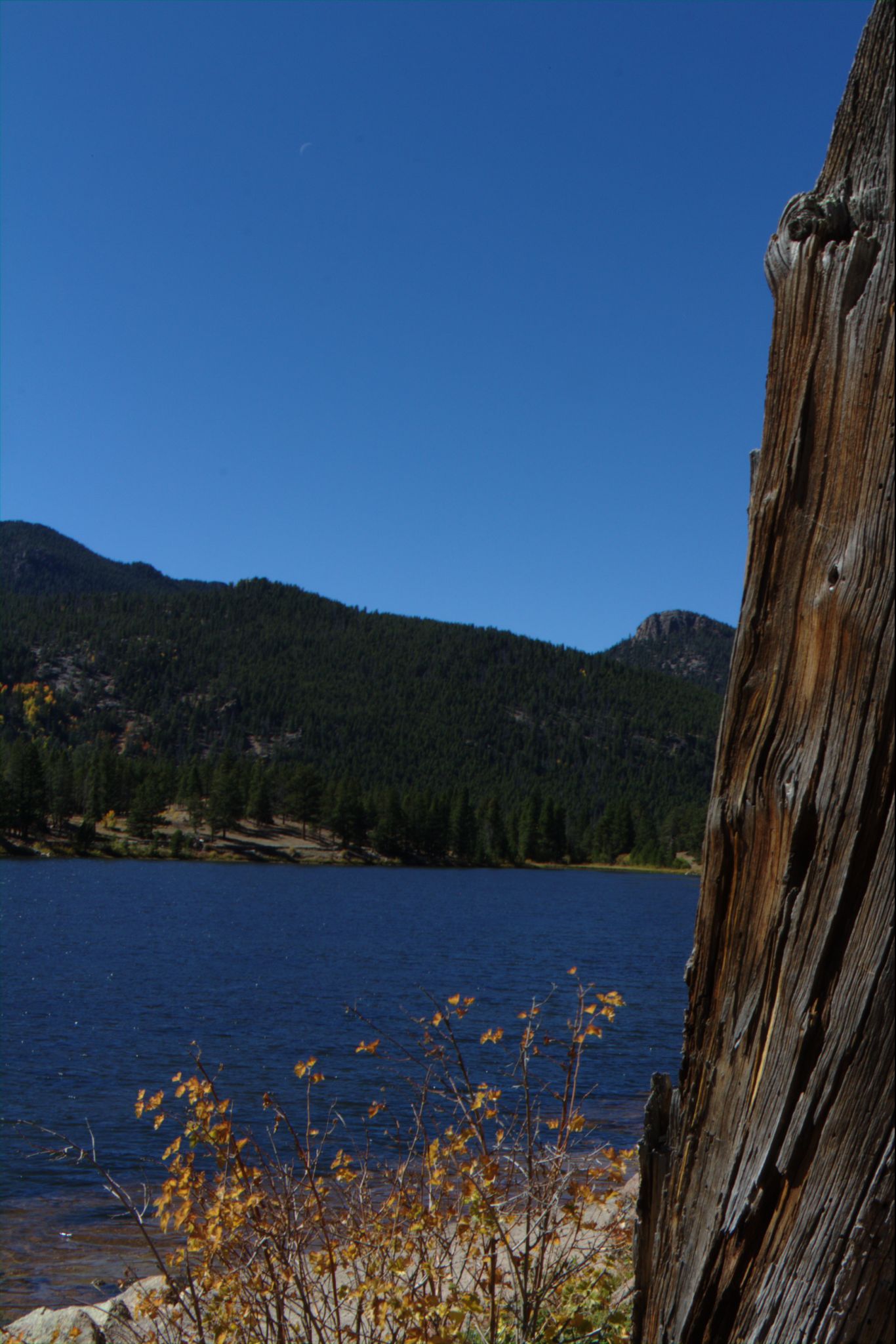 Fall Colors on the Peak-to-Peak