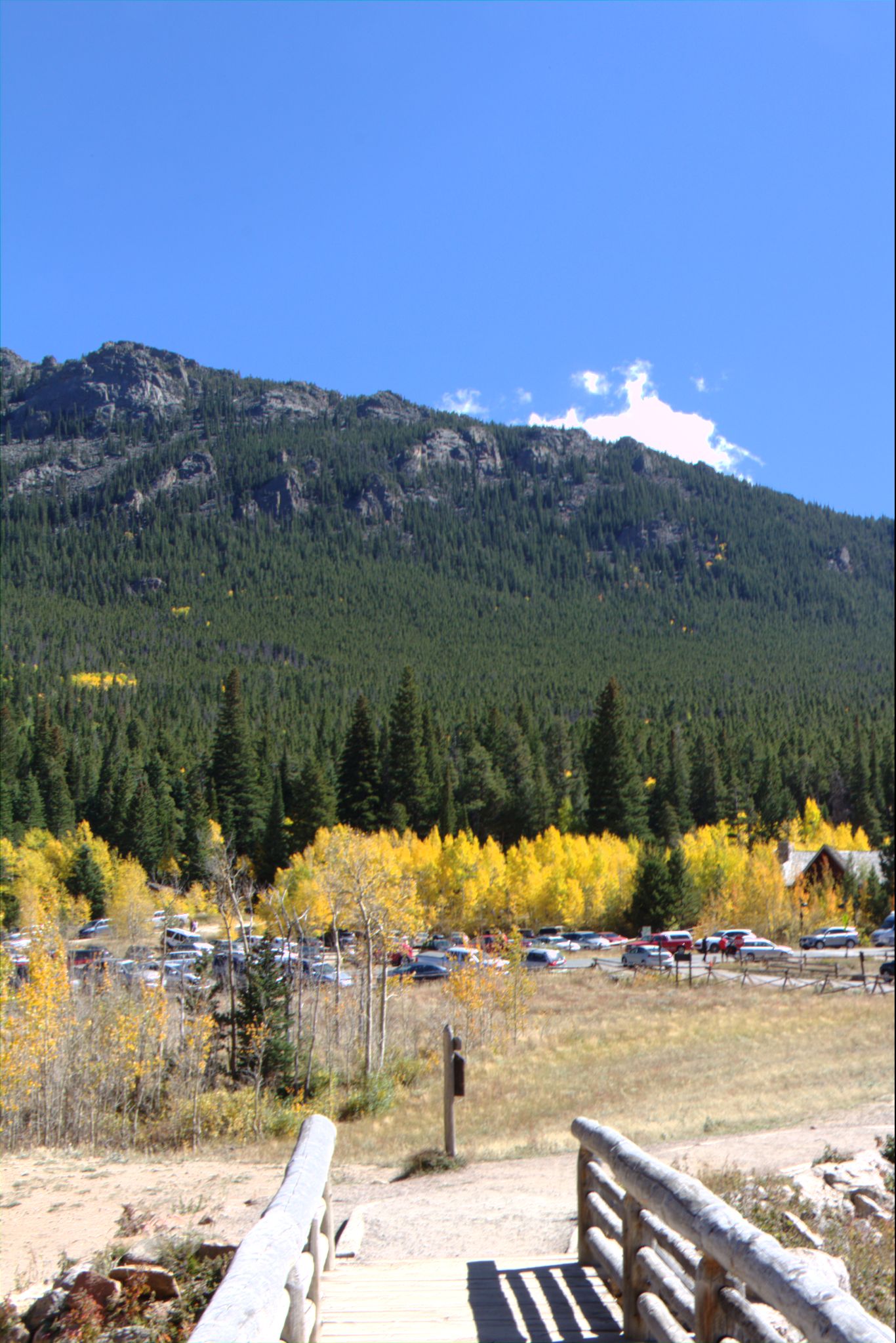 Fall Colors on the Peak-to-Peak