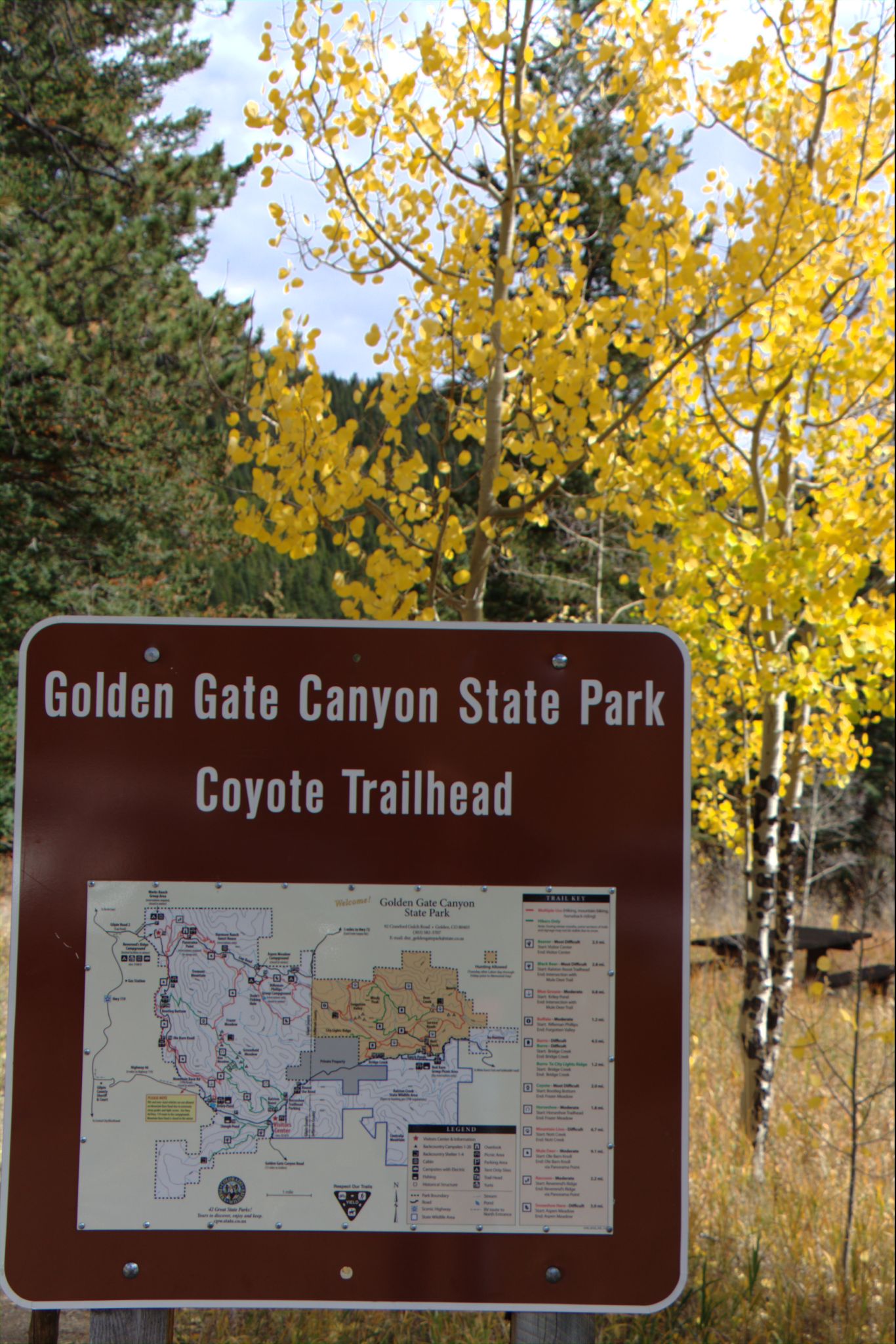 Fall Colors at Golden Gate Canyon State Park