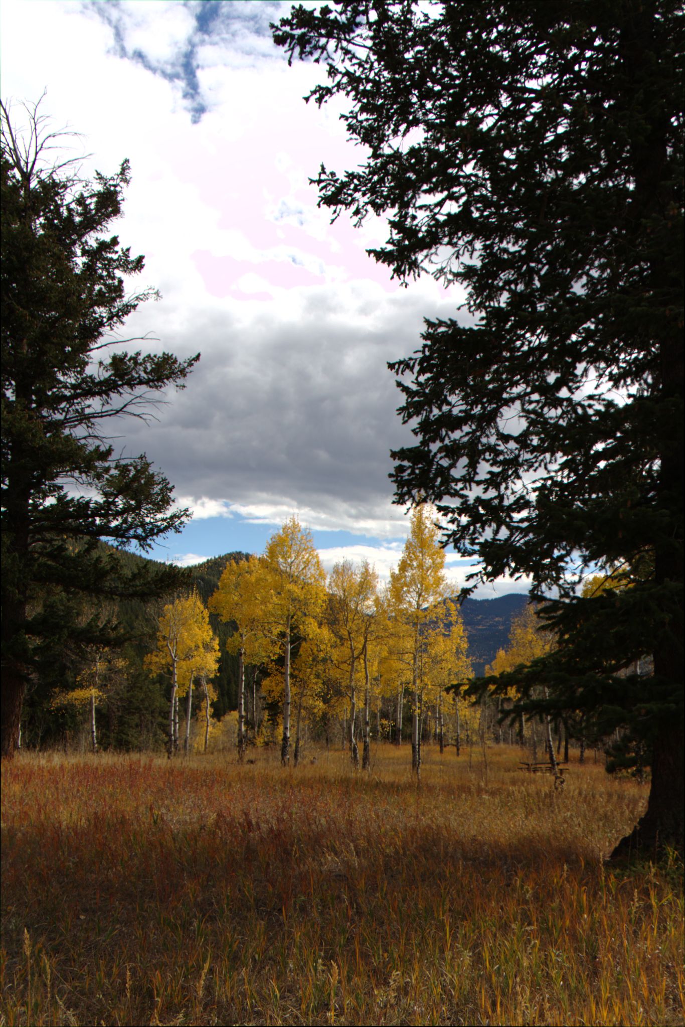 Fall Colors at Golden Gate Canyon State Park