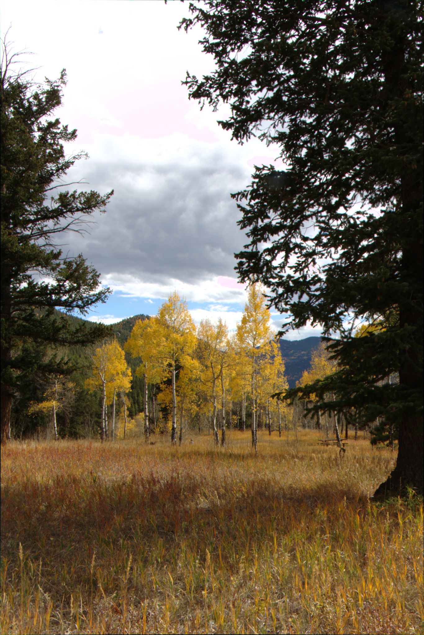 Fall Colors at Golden Gate Canyon State Park