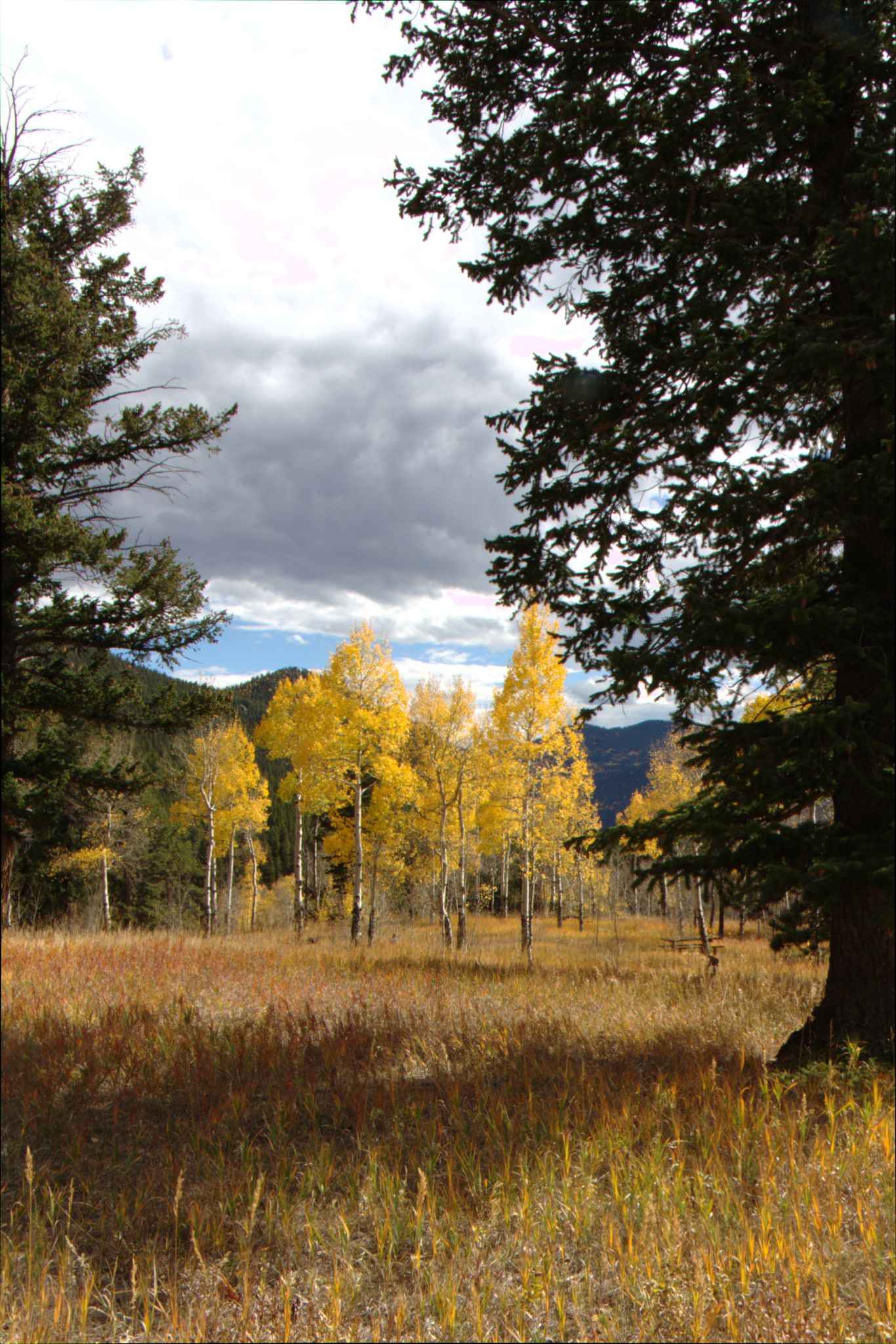 Fall Colors at Golden Gate Canyon State Park