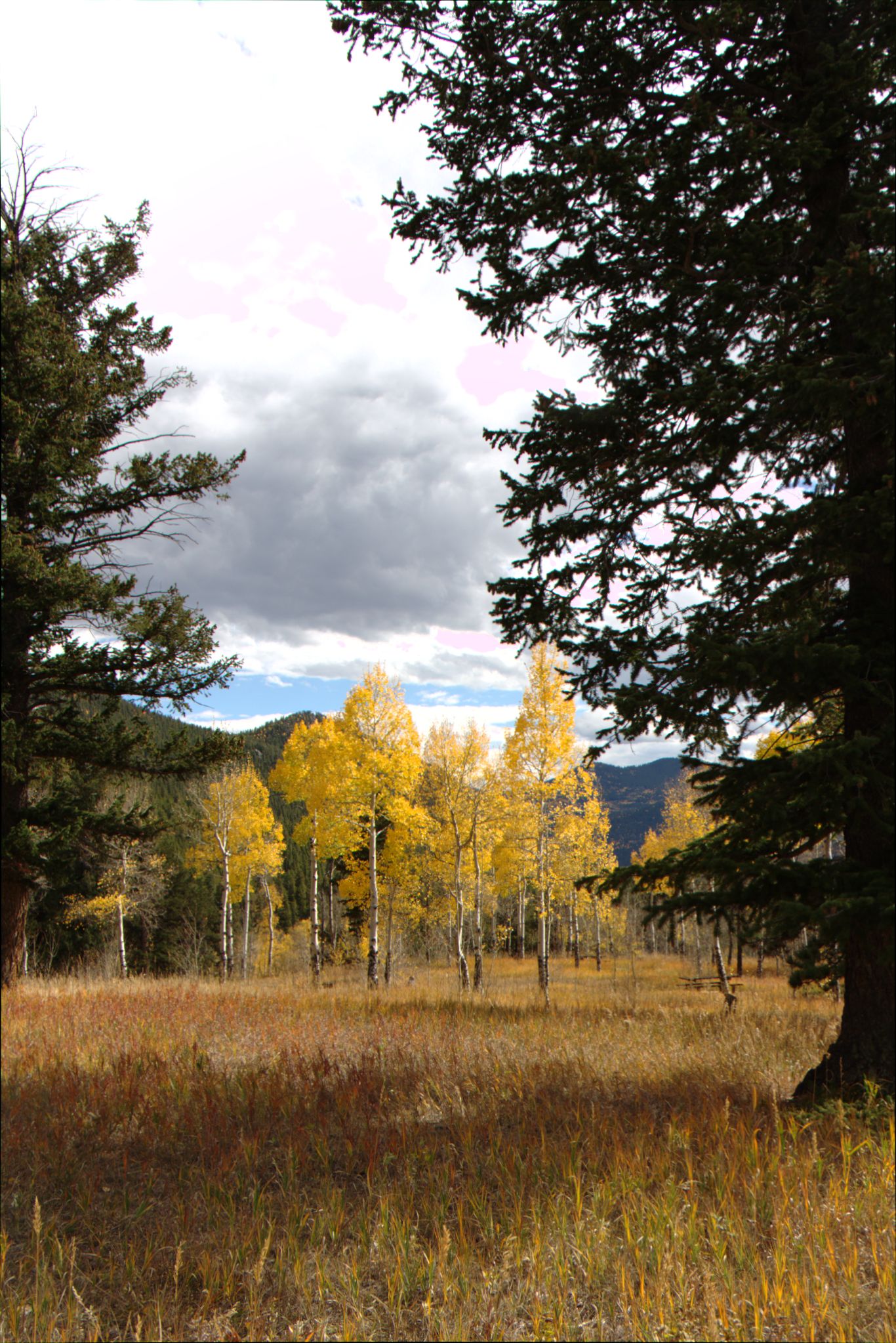 Fall Colors at Golden Gate Canyon State Park