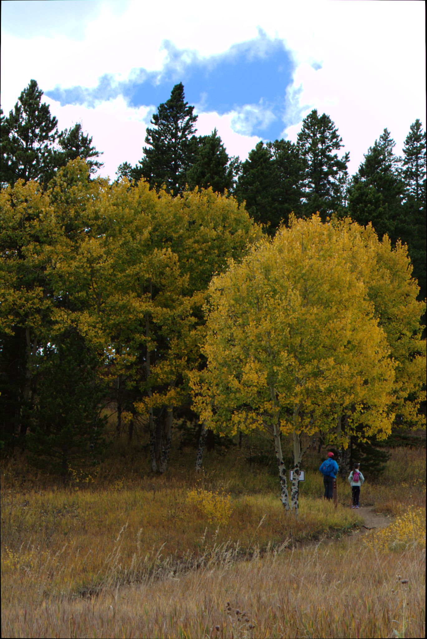 Fall Colors at Golden Gate Canyon State Park