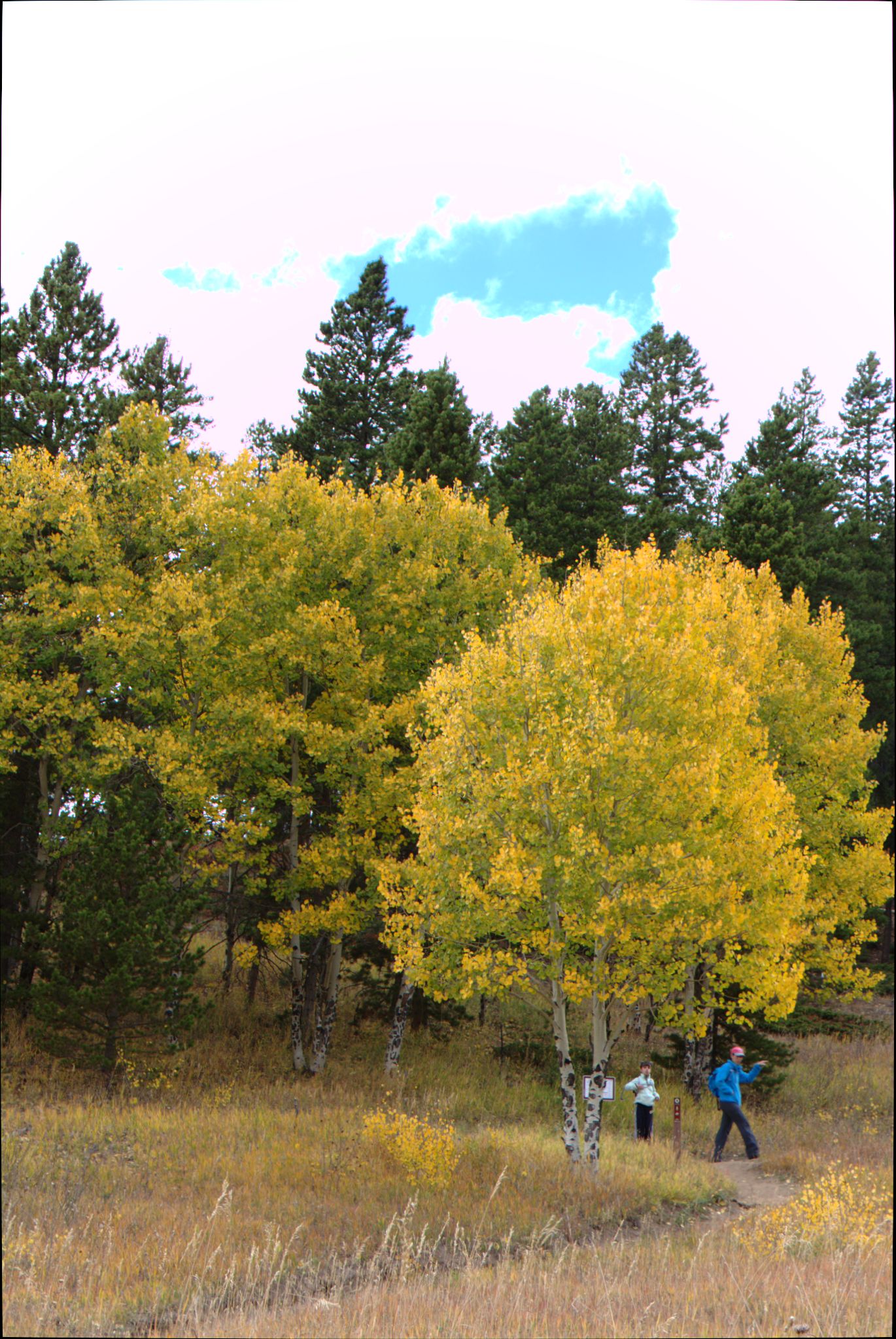 Fall Colors at Golden Gate Canyon State Park