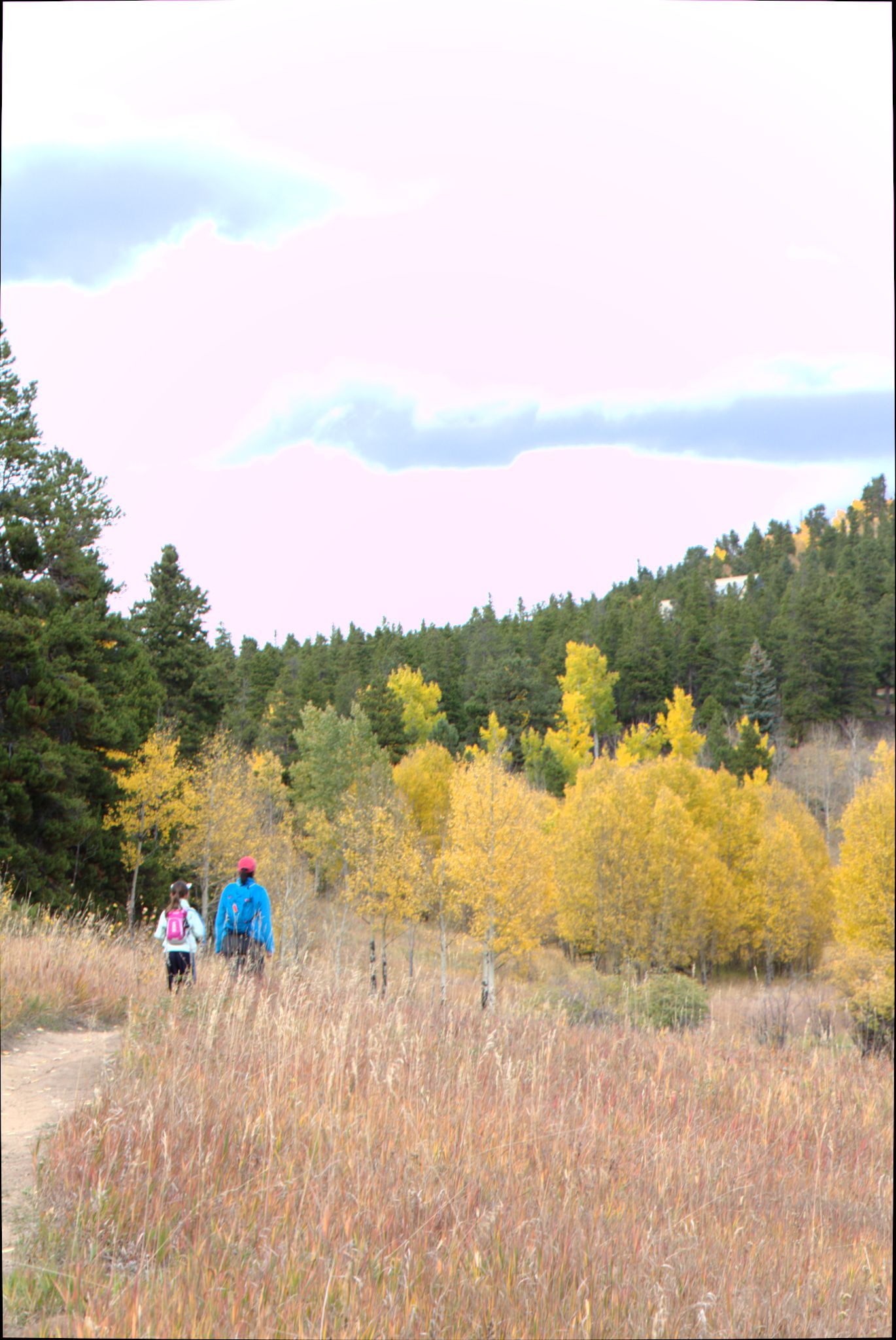 Fall Colors at Golden Gate Canyon State Park