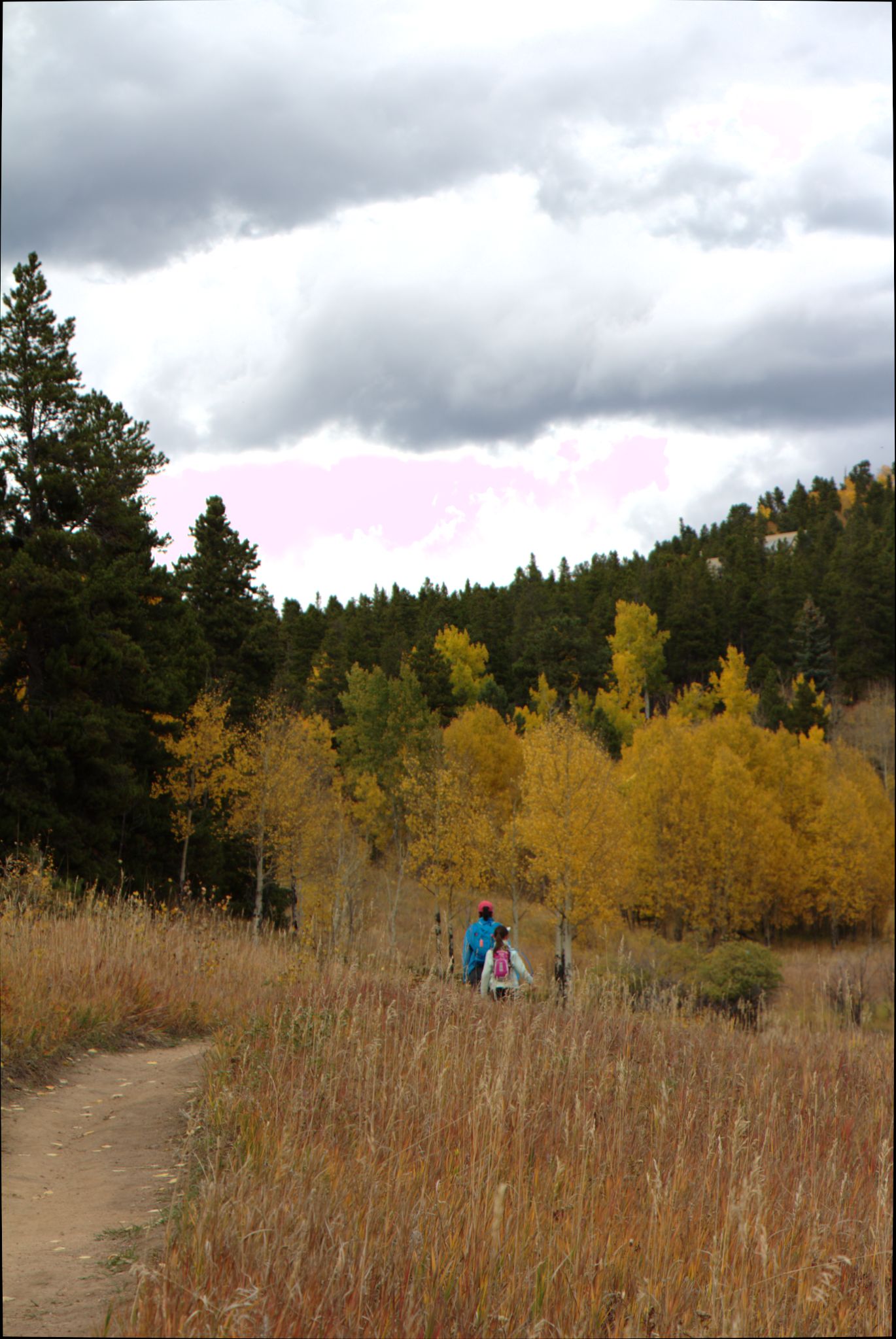Fall Colors at Golden Gate Canyon State Park