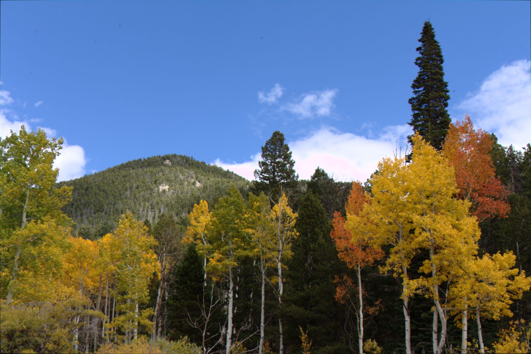 Fall Colors at Golden Gate Canyon State Park