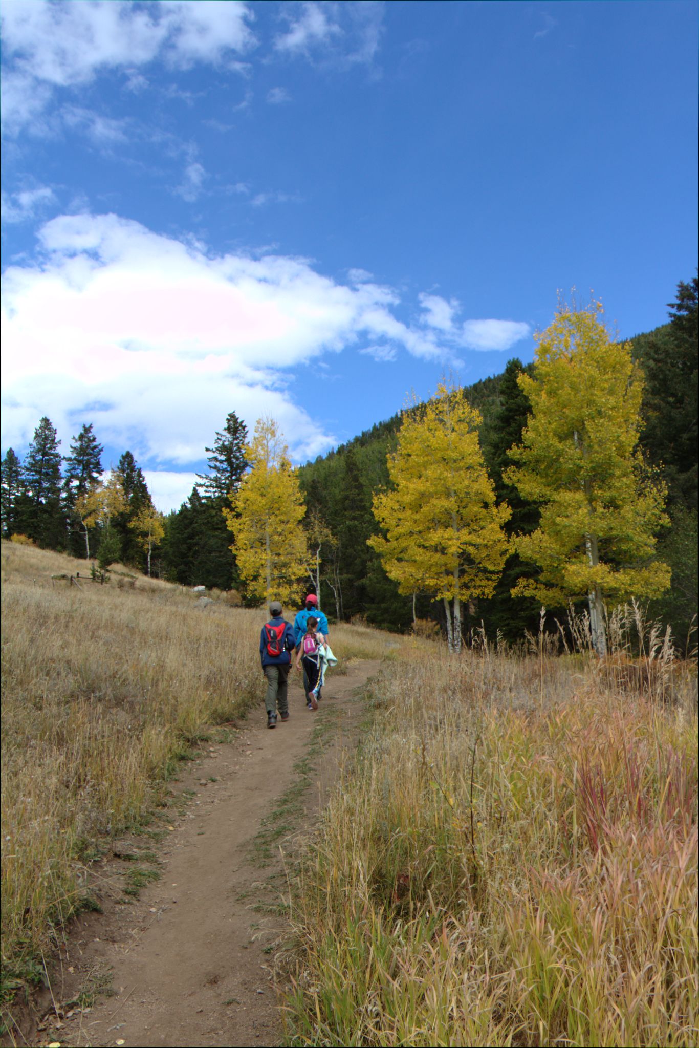 Fall Colors at Golden Gate Canyon State Park