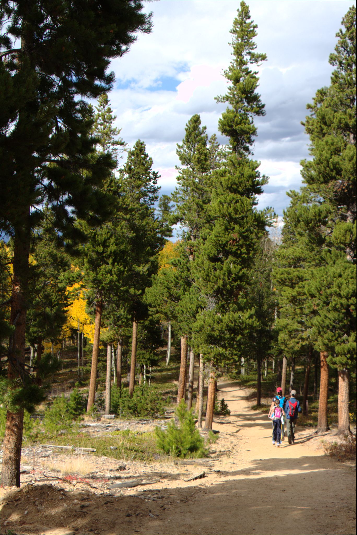 Fall Colors at Golden Gate Canyon State Park