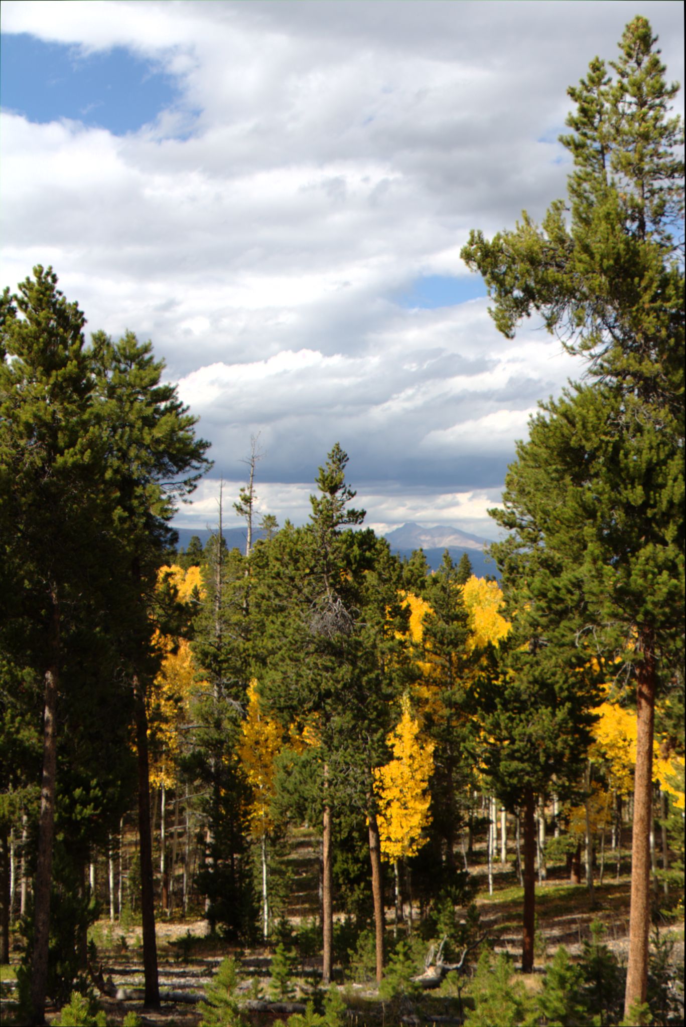 Fall Colors at Golden Gate Canyon State Park