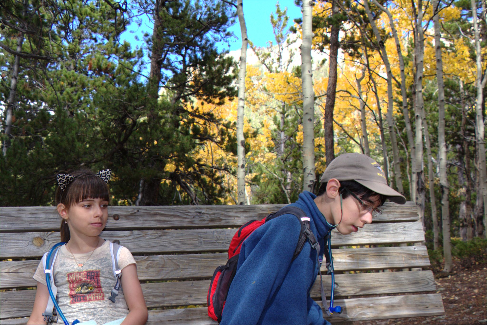 Fall Colors at Golden Gate Canyon State Park