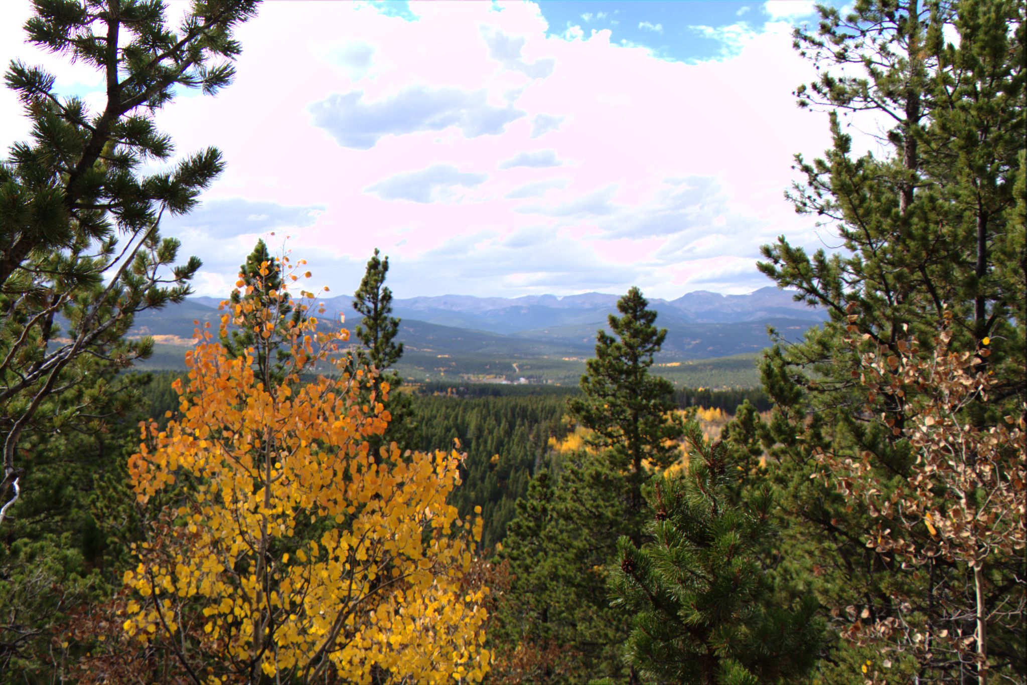 Fall Colors at Golden Gate Canyon State Park