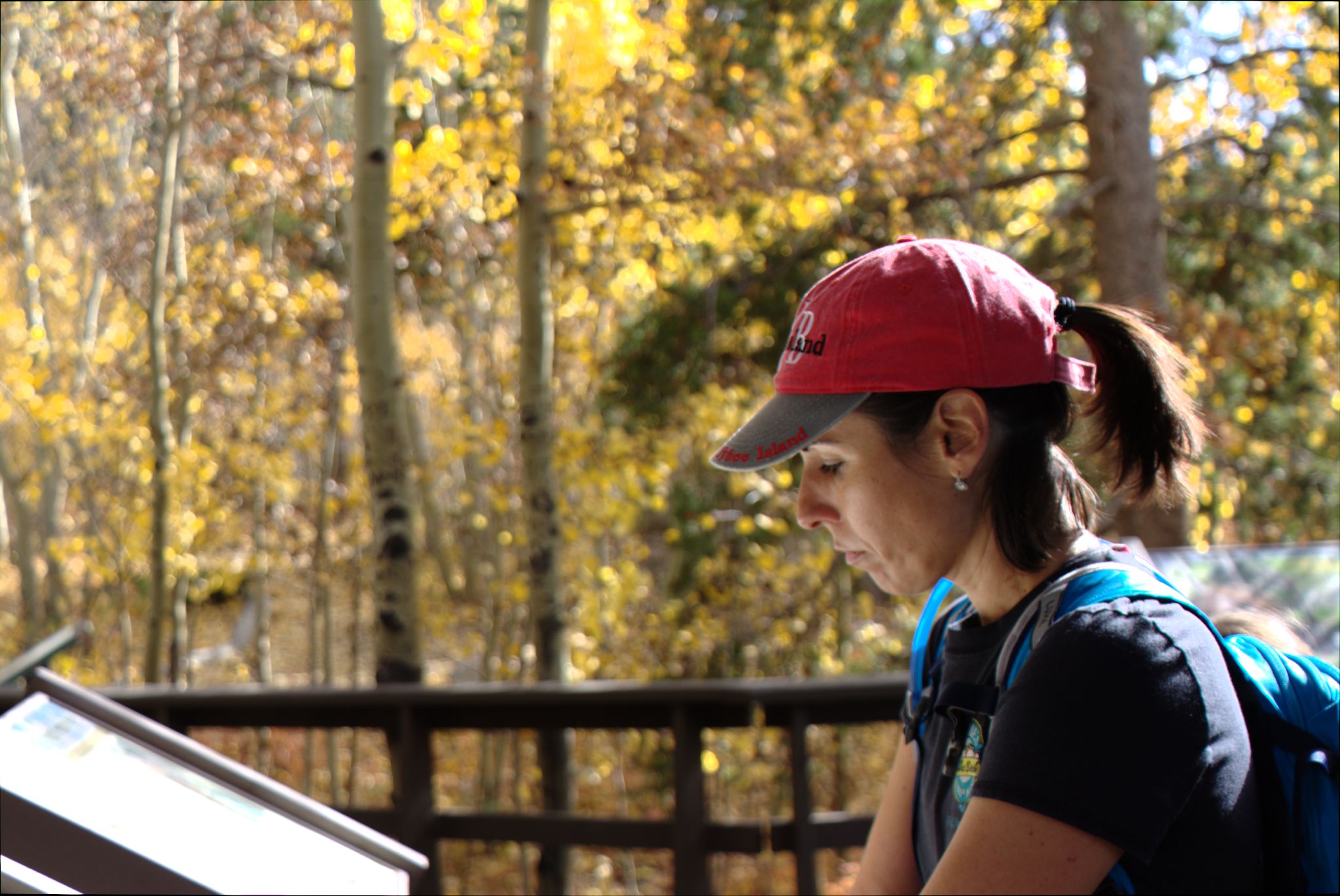 Fall Colors at Golden Gate Canyon State Park