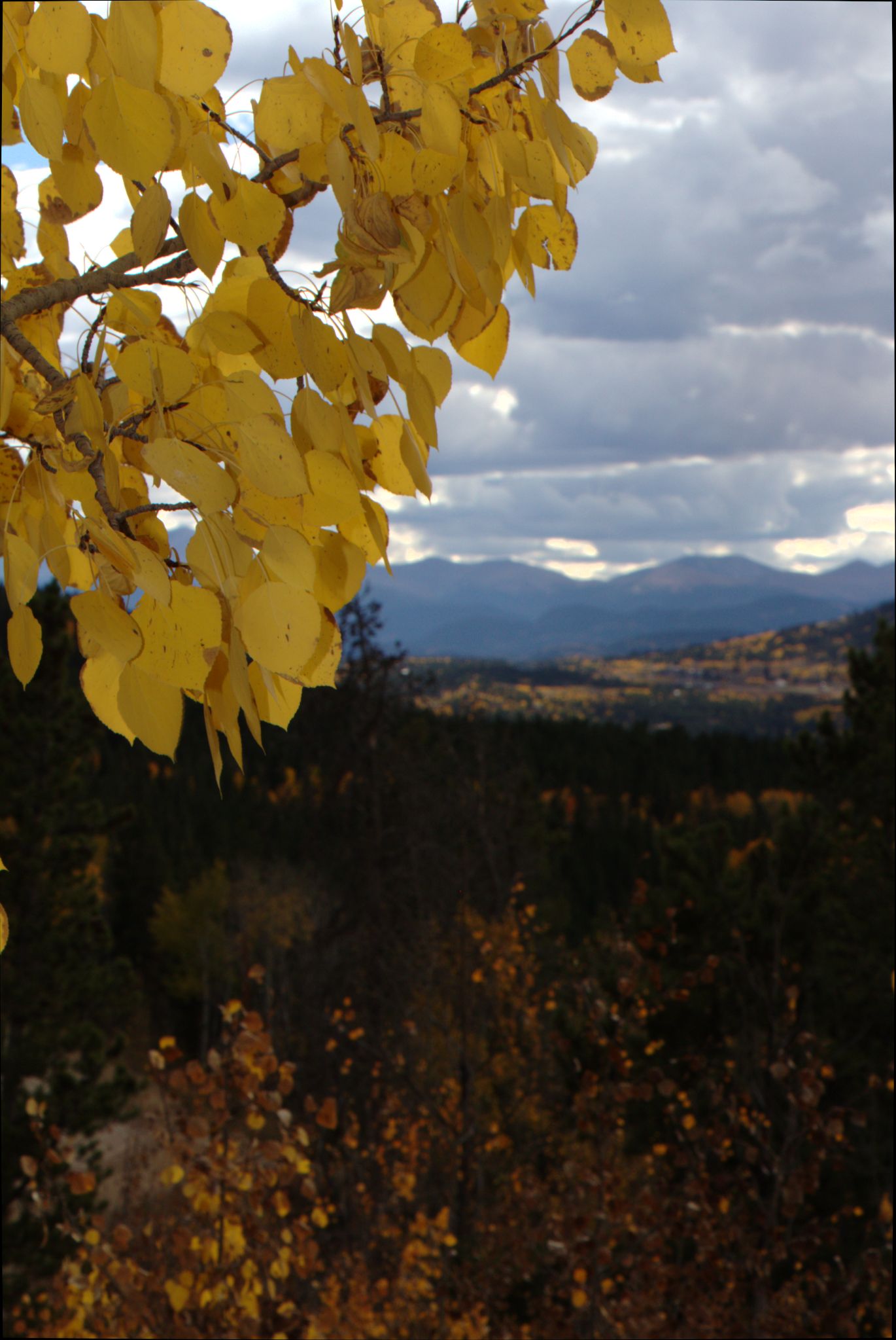 Fall Colors at Golden Gate Canyon State Park