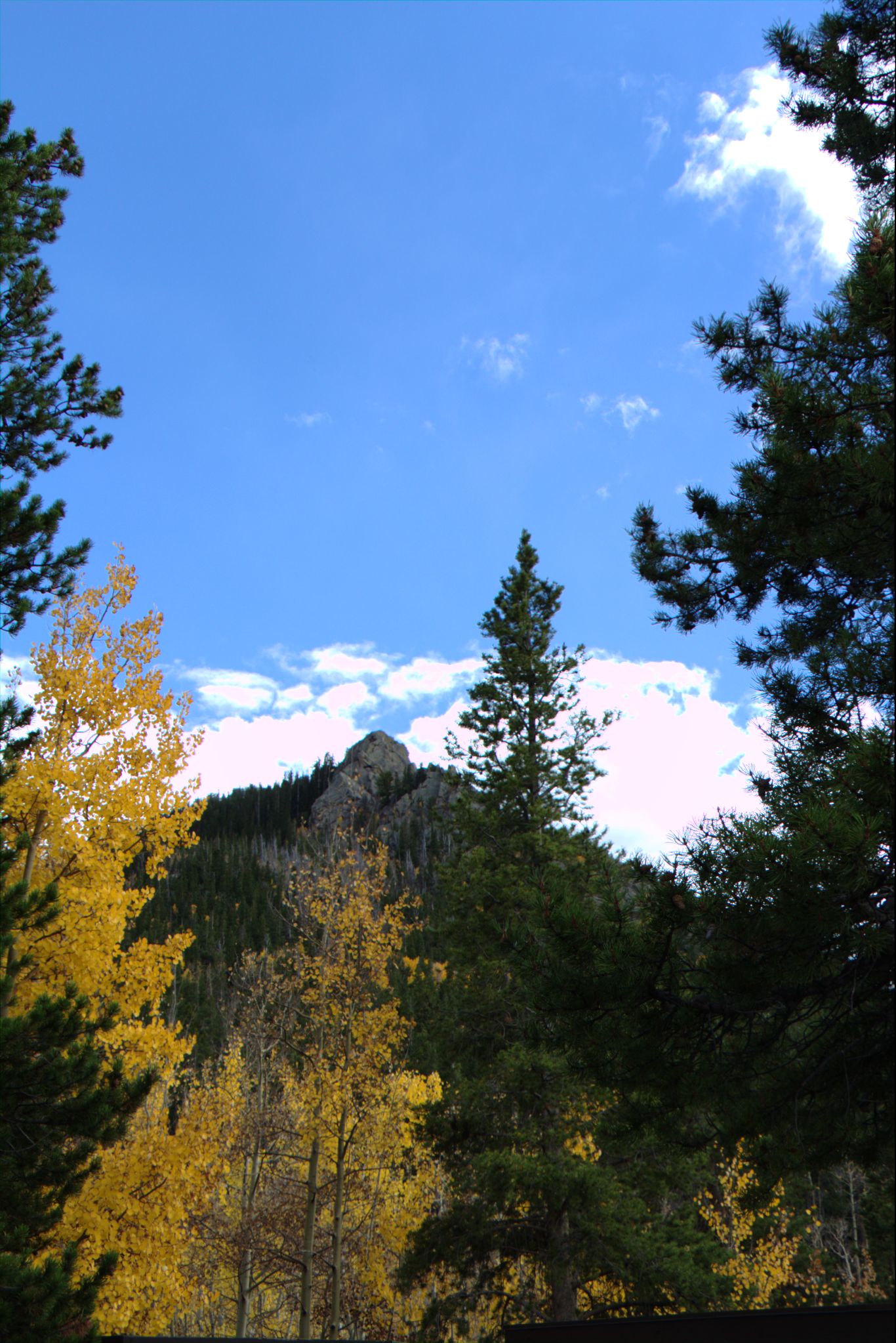 Fall Colors at Golden Gate Canyon State Park