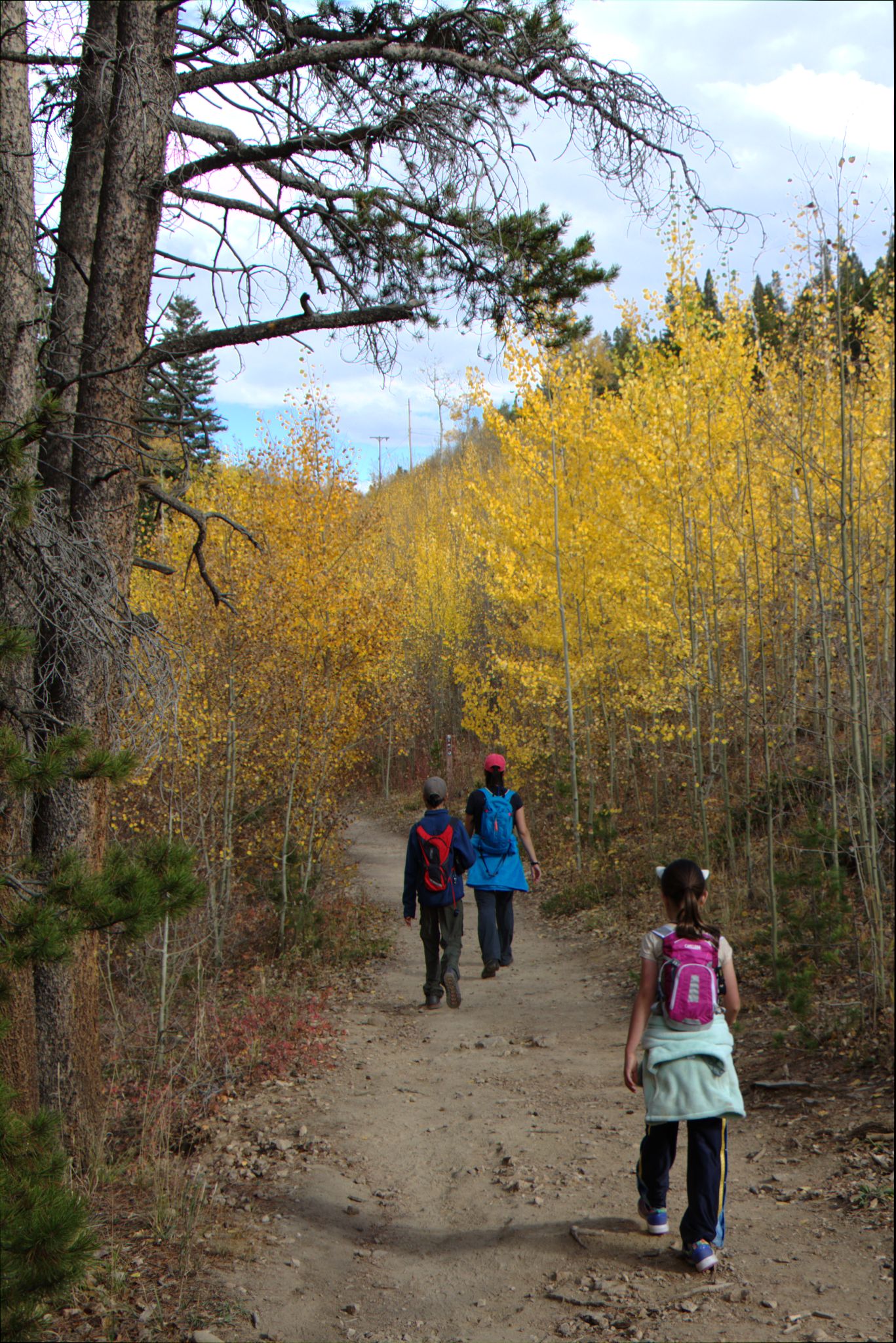 Fall Colors at Golden Gate Canyon State Park