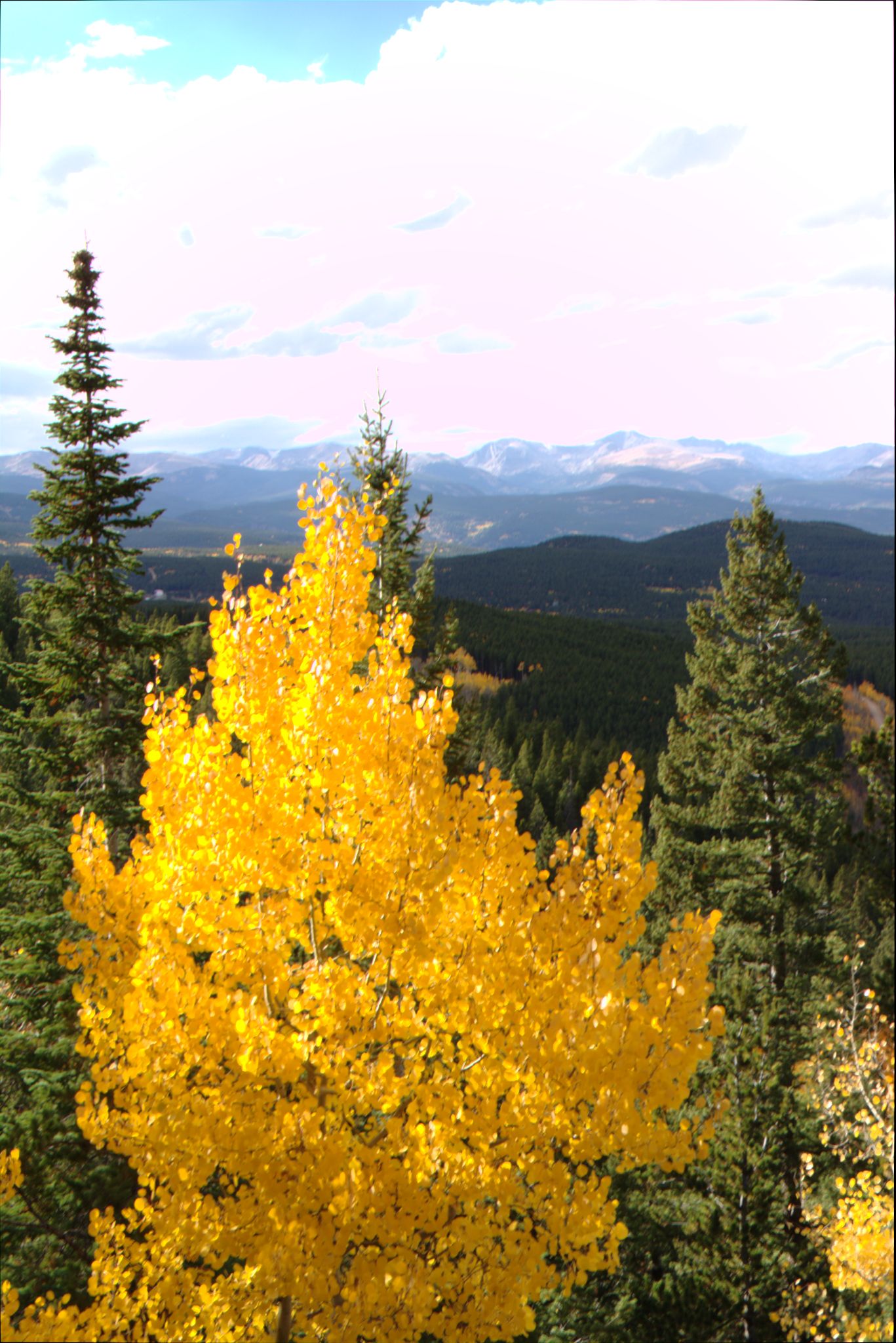 Fall Colors at Golden Gate Canyon State Park