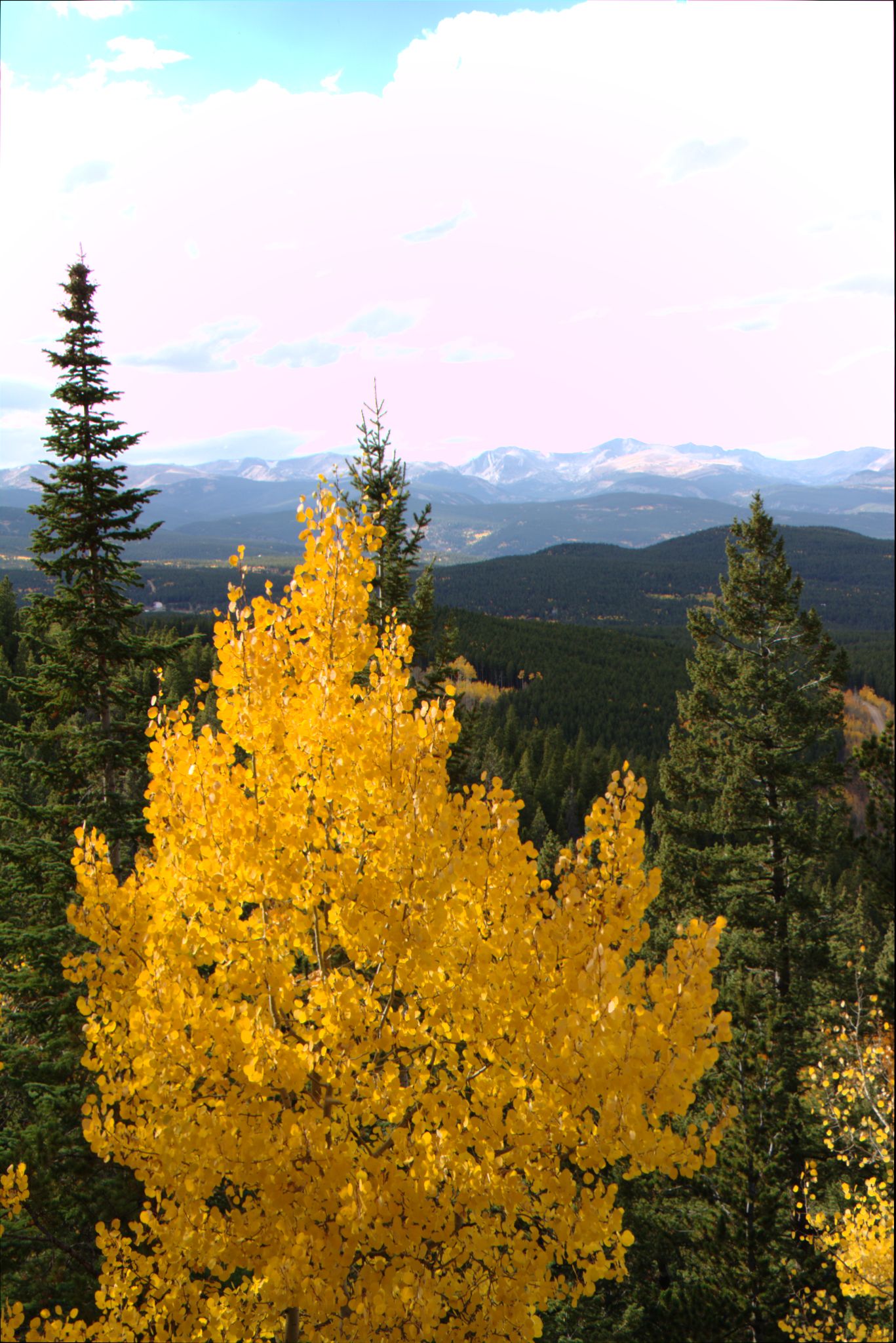 Fall Colors at Golden Gate Canyon State Park