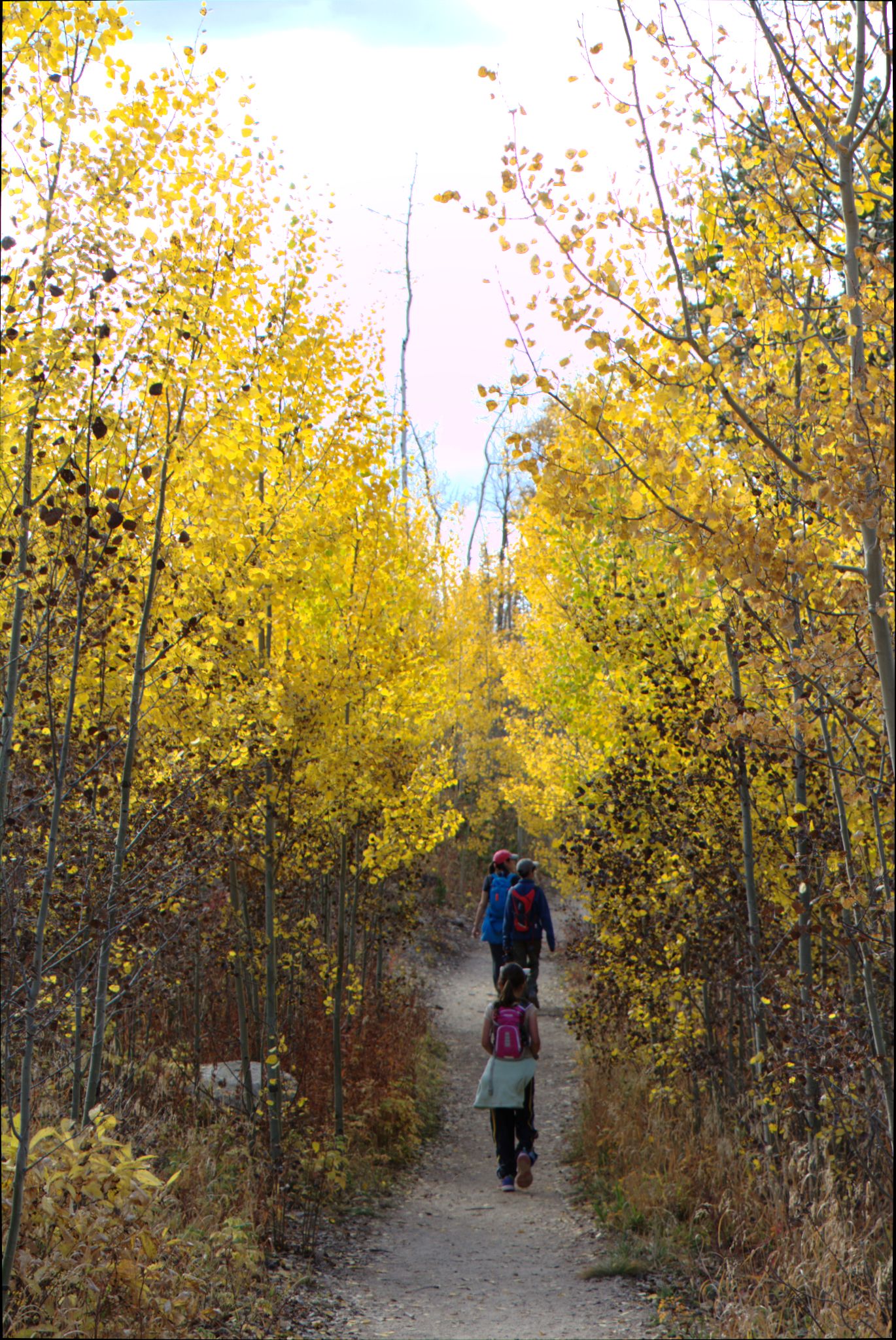 Fall Colors at Golden Gate Canyon State Park