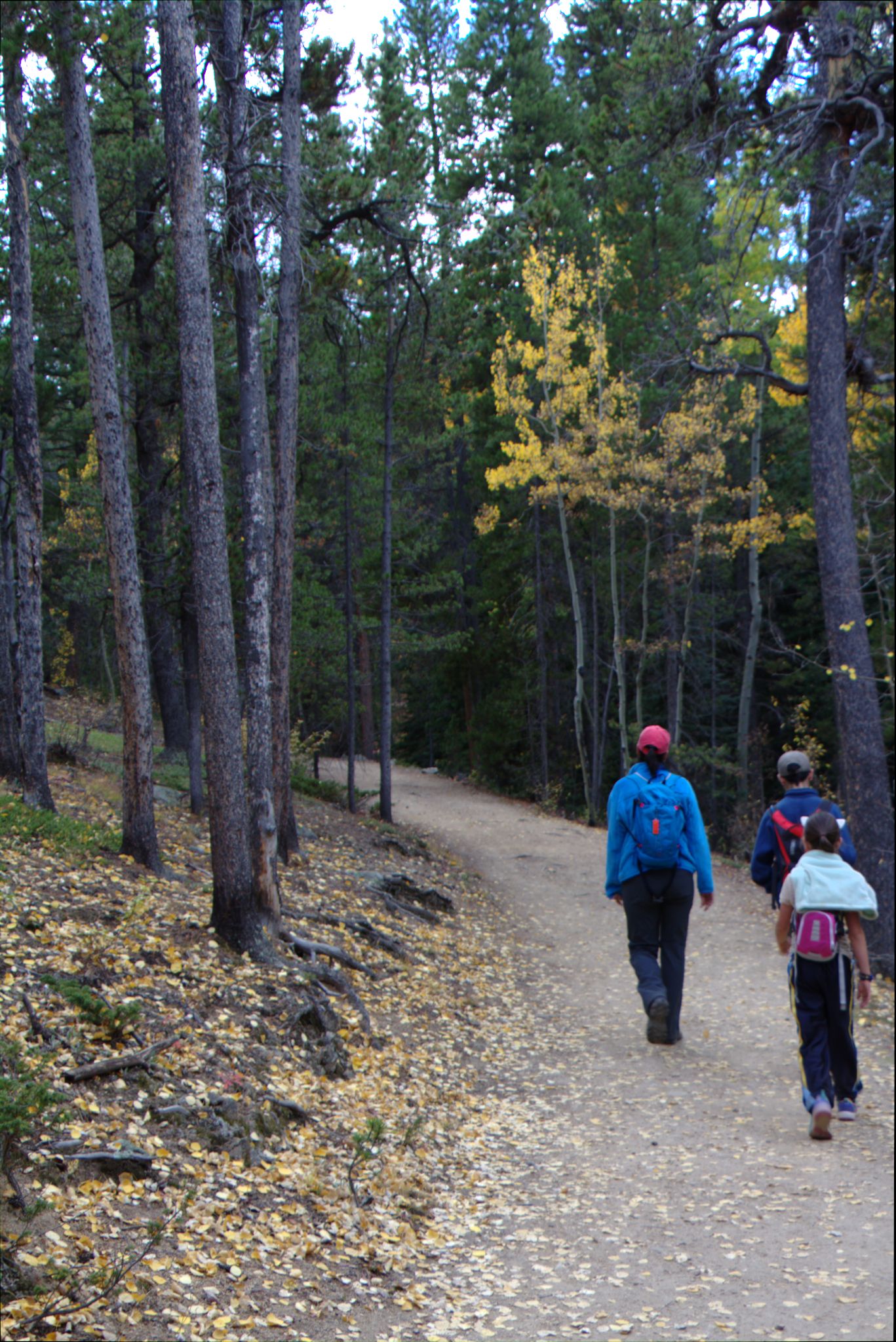 Fall Colors at Golden Gate Canyon State Park