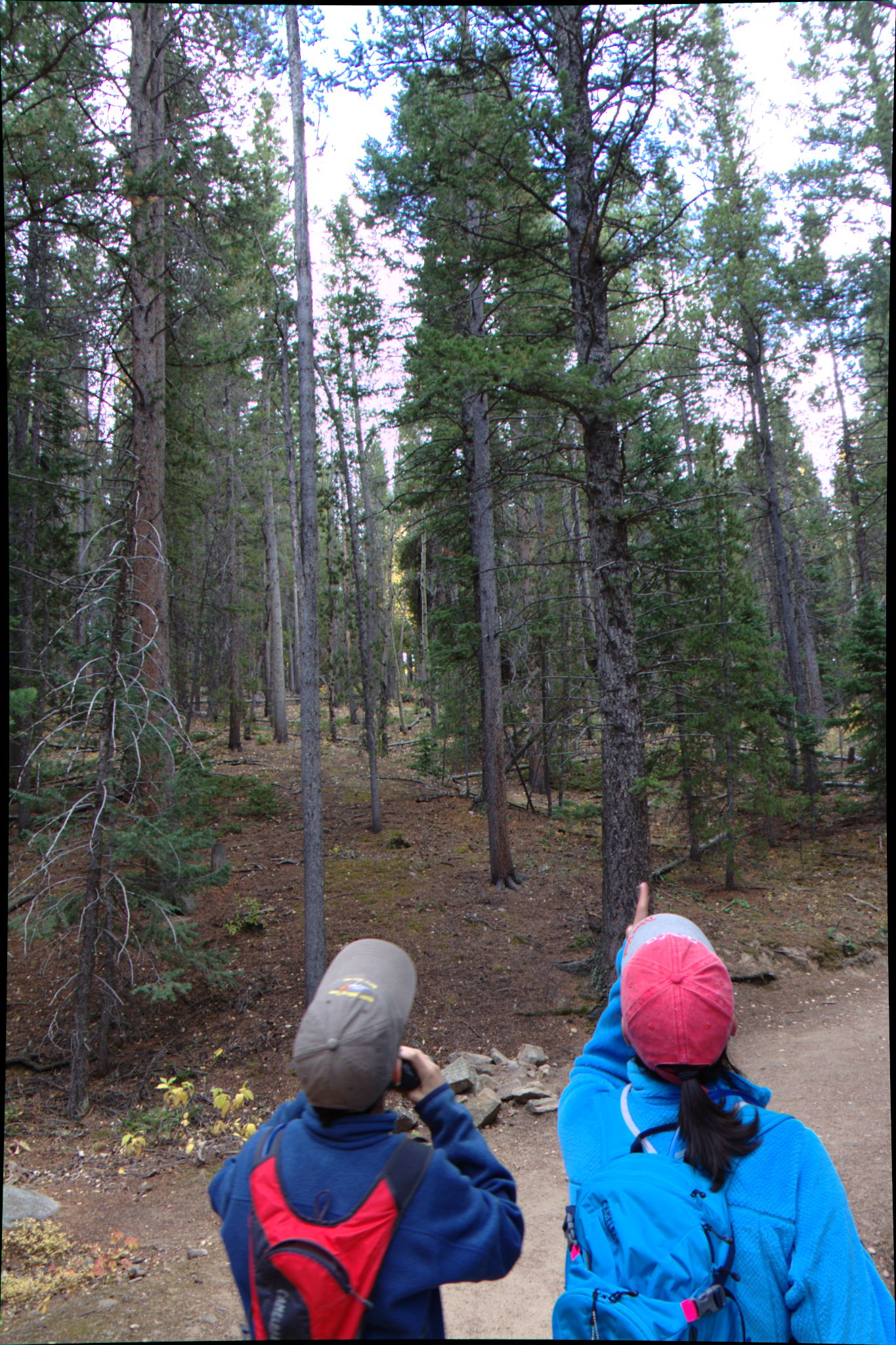 Fall Colors at Golden Gate Canyon State Park