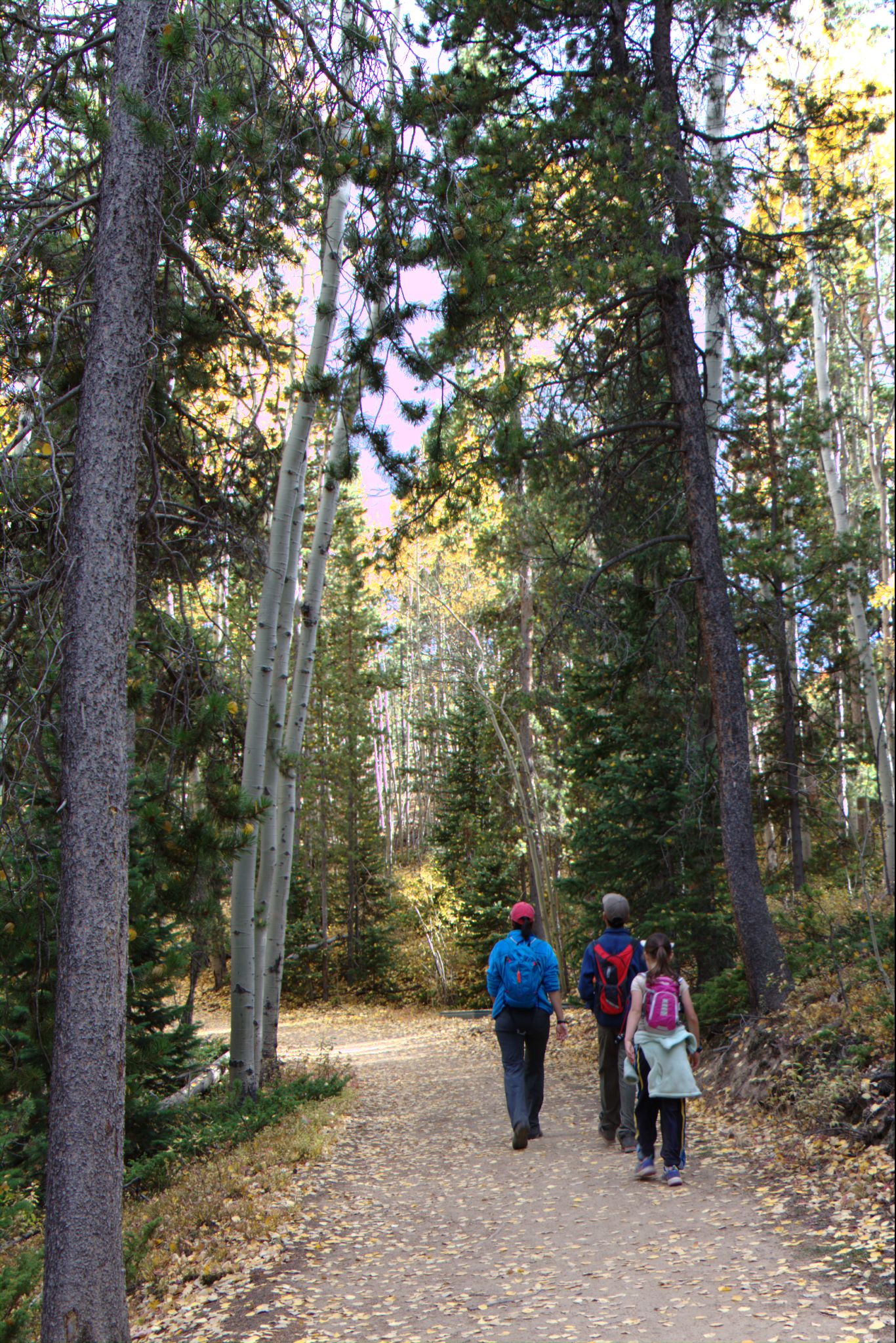 Fall Colors at Golden Gate Canyon State Park