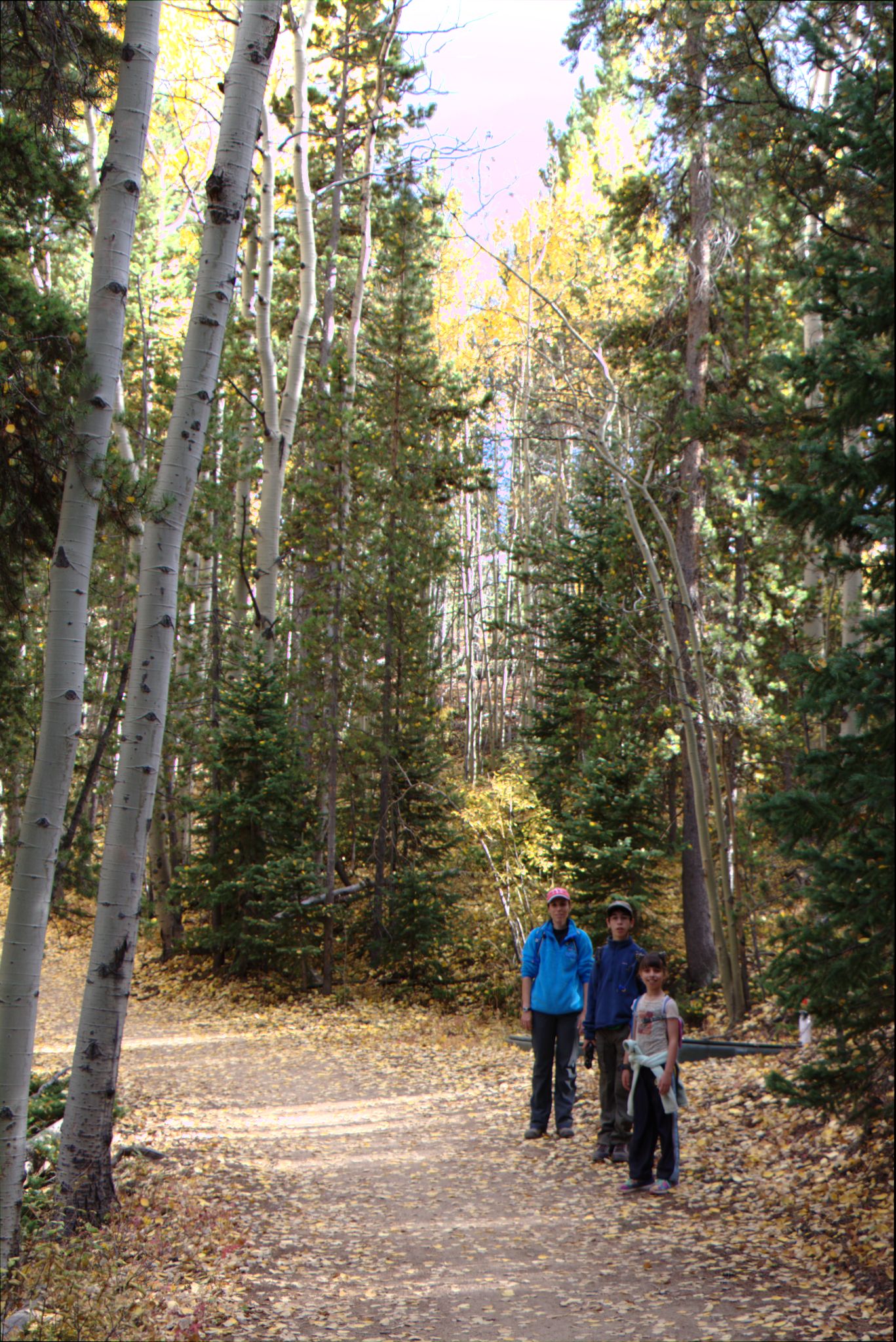 Fall Colors at Golden Gate Canyon State Park