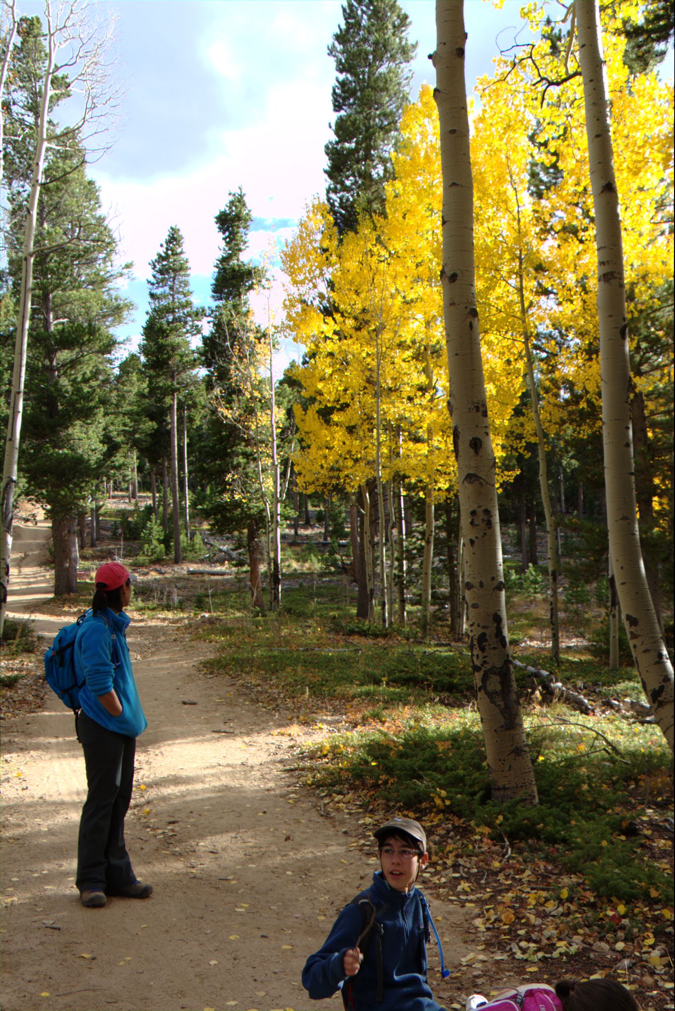 Fall Colors at Golden Gate Canyon State Park