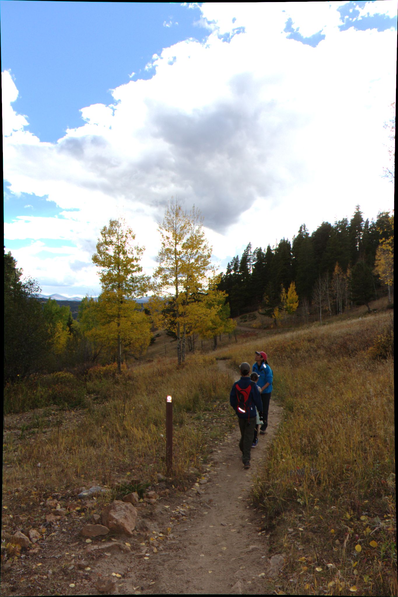 Fall Colors at Golden Gate Canyon State Park