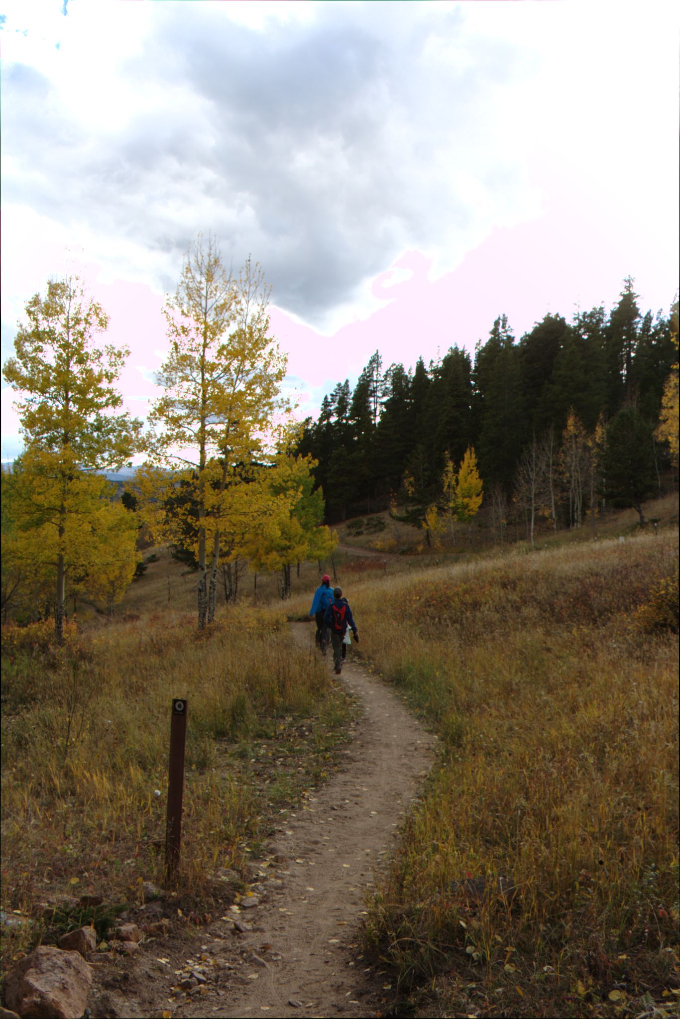 Fall Colors at Golden Gate Canyon State Park