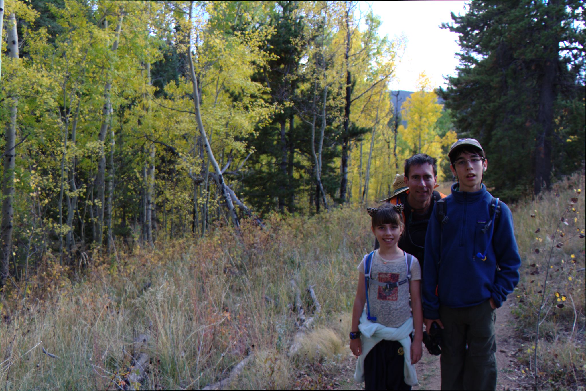 Fall Colors at Golden Gate Canyon State Park