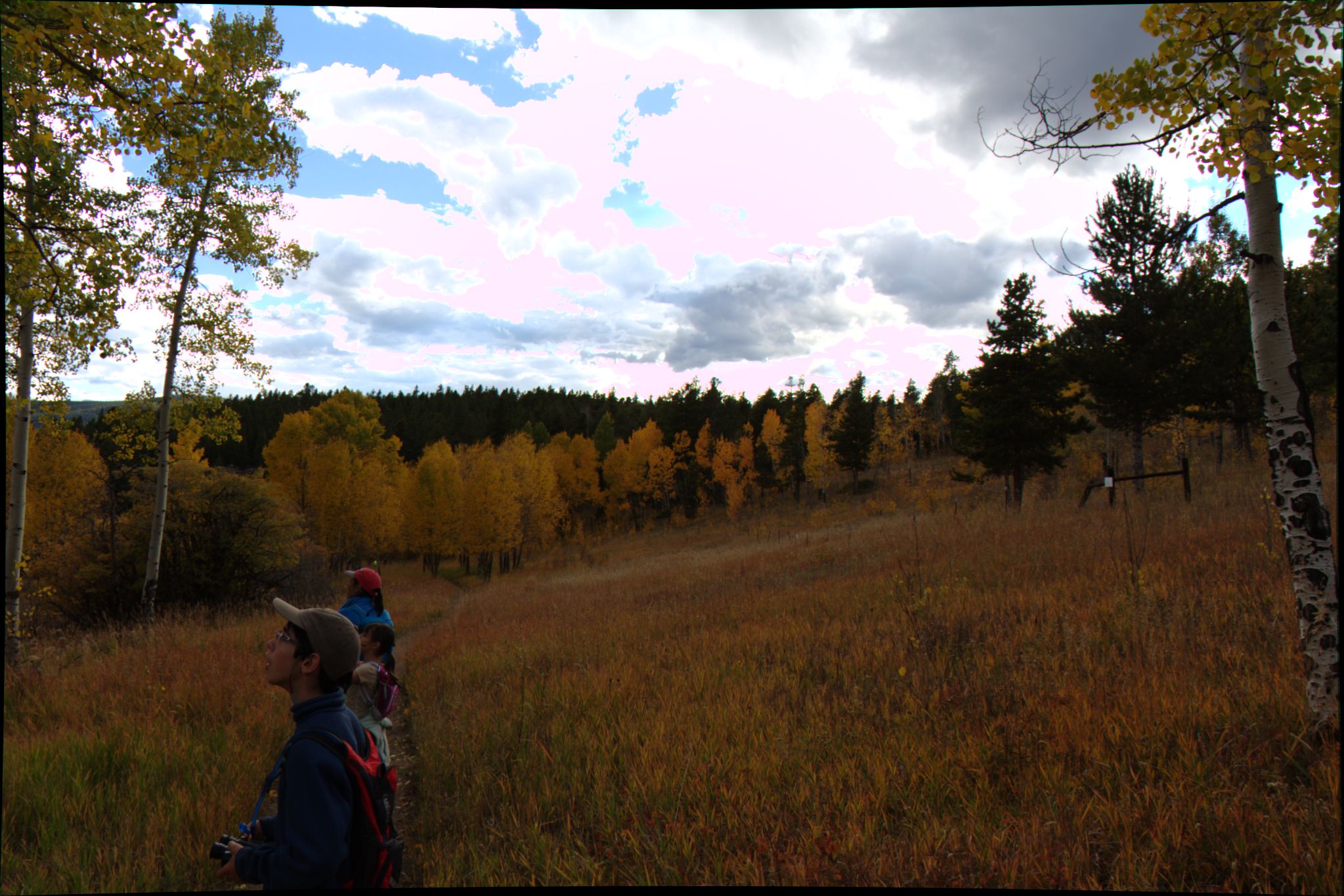 Fall Colors at Golden Gate Canyon State Park