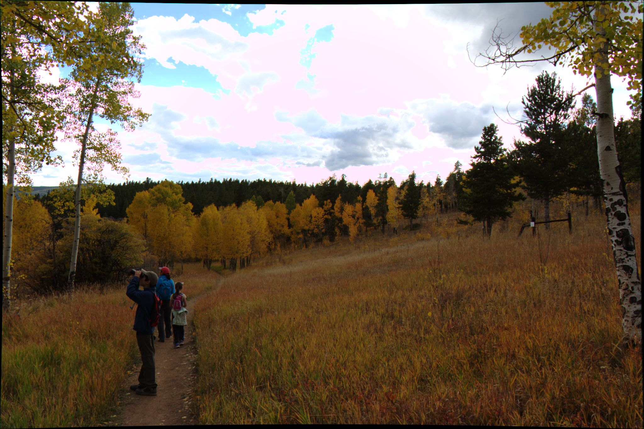 Fall Colors at Golden Gate Canyon State Park