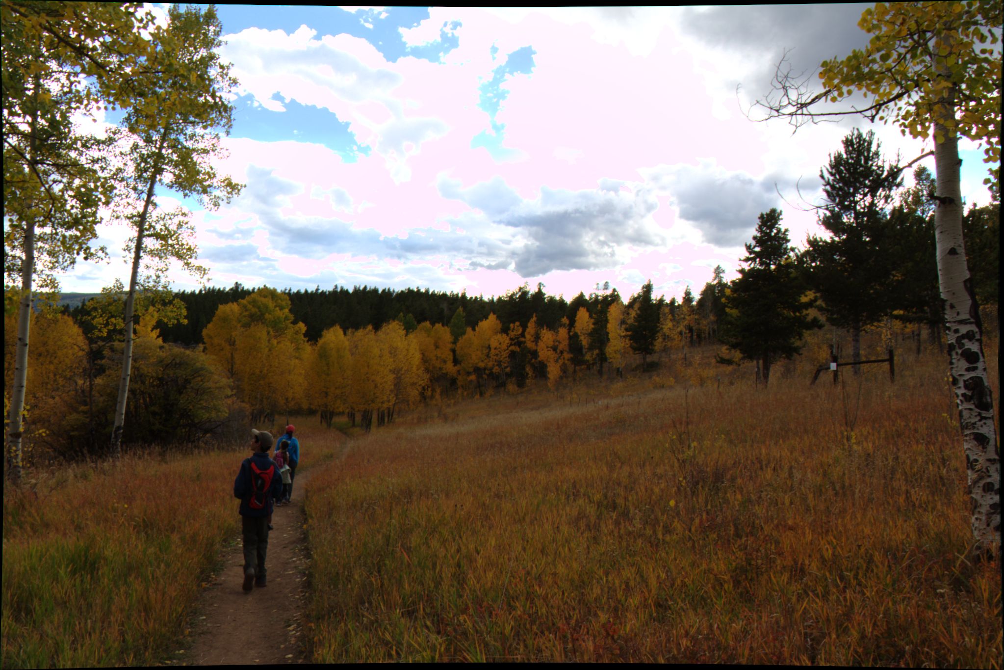 Fall Colors at Golden Gate Canyon State Park